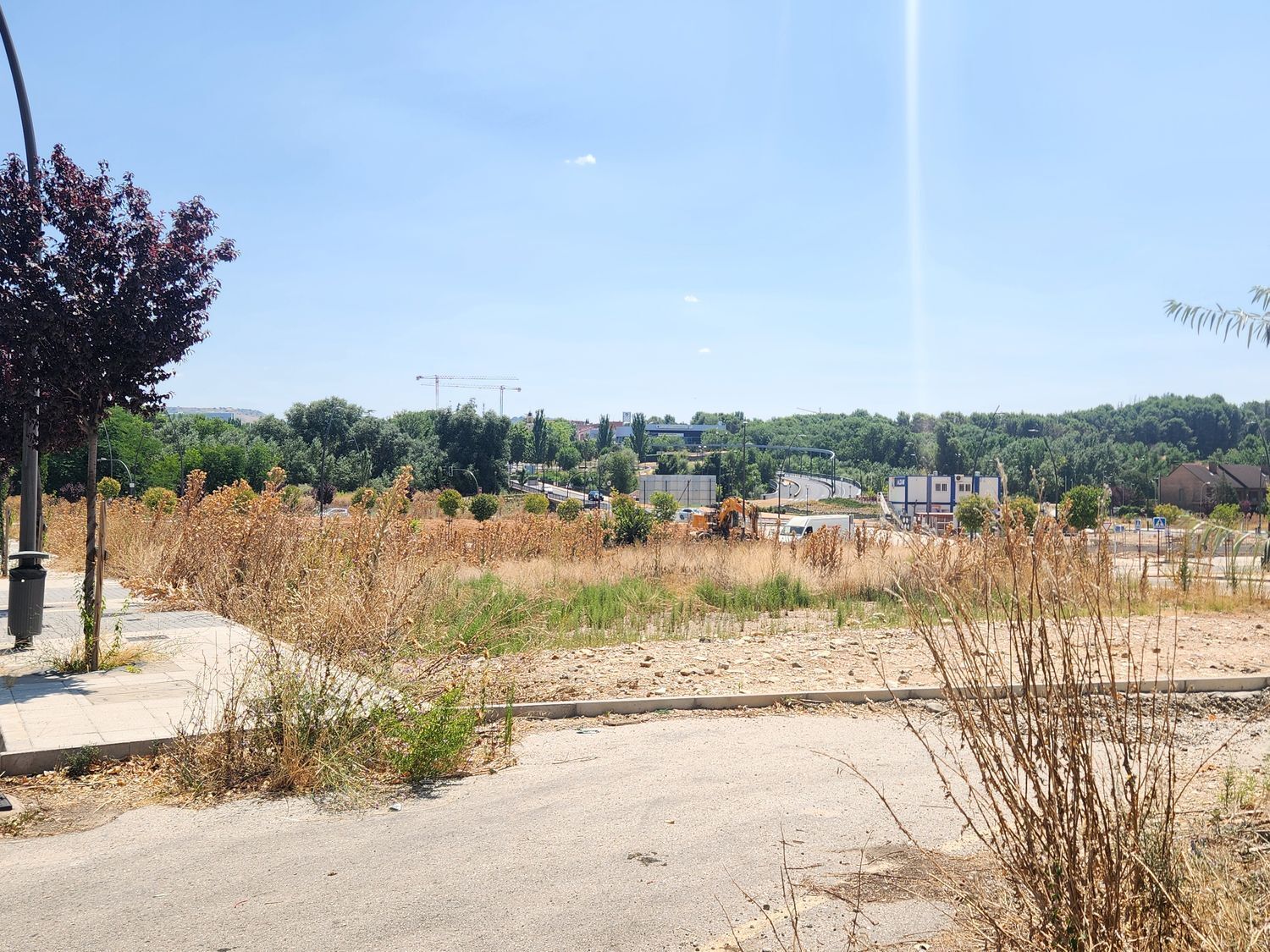 Fincas y solares-Venta-Guadalajara-1876885-Foto-9