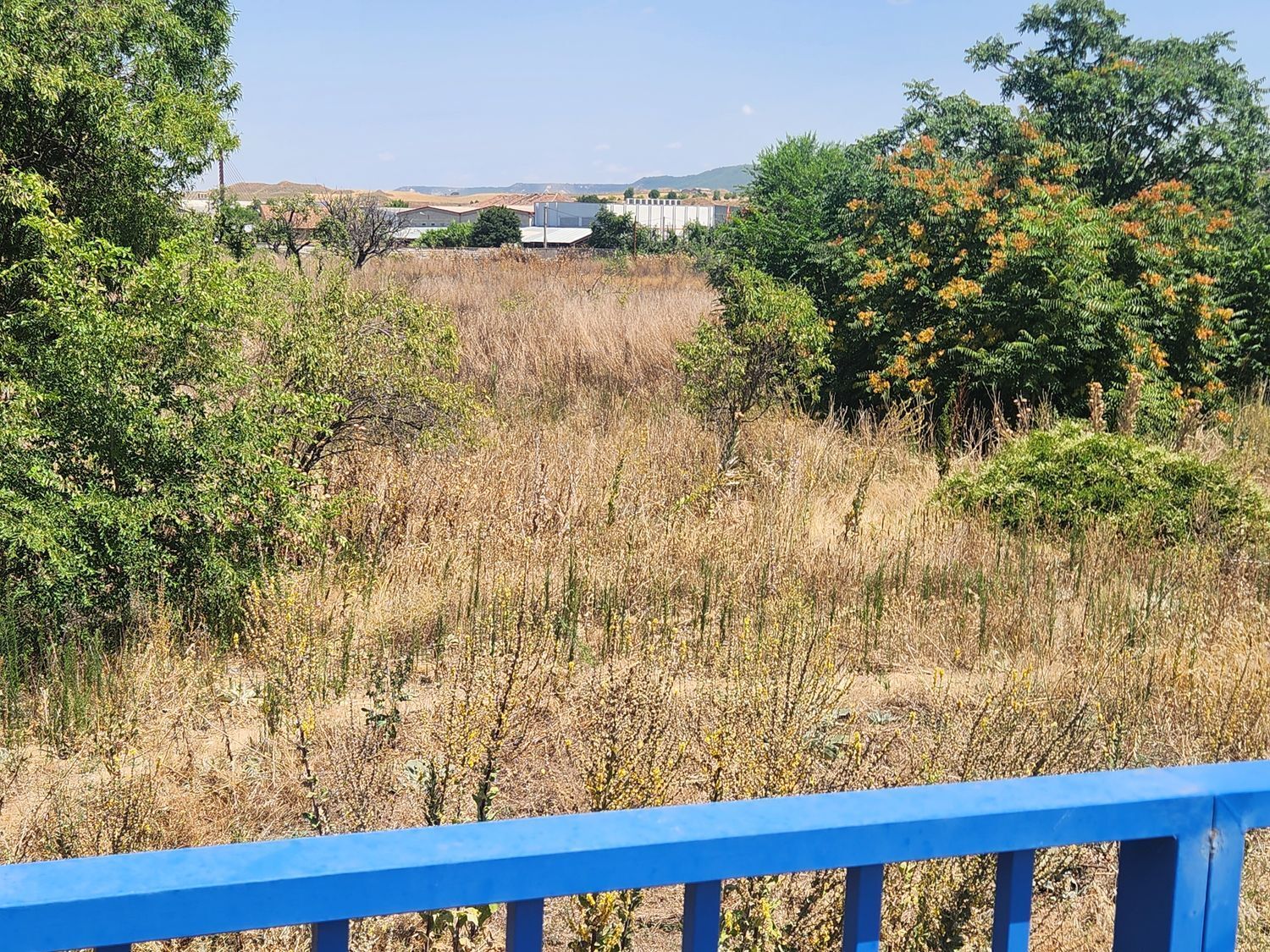 Fincas y solares-Venta-Guadalajara-1876885-Foto-13