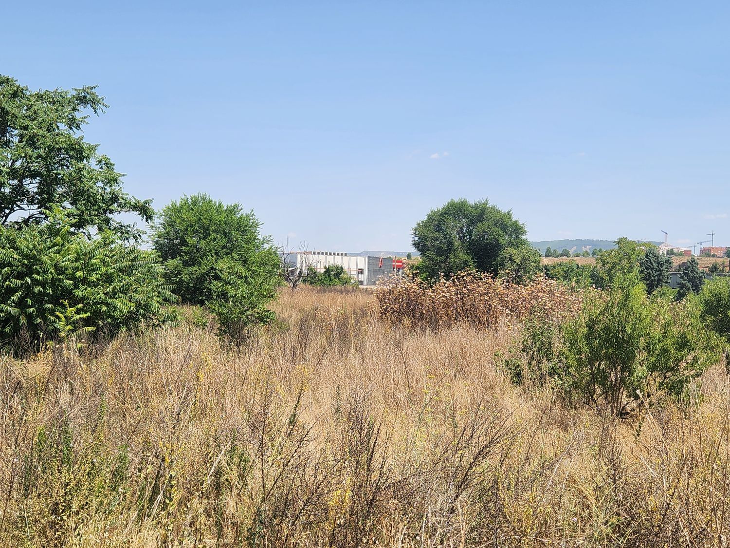 Fincas y solares-Venta-Guadalajara-1833373-Foto-21