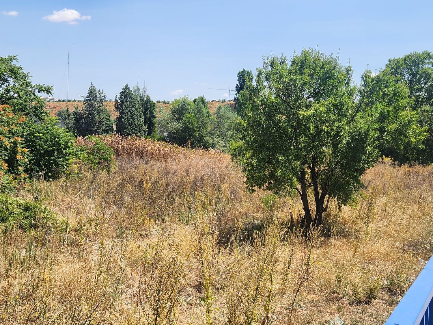 Fincas y solares-Venta-Guadalajara-1833373-Foto-24