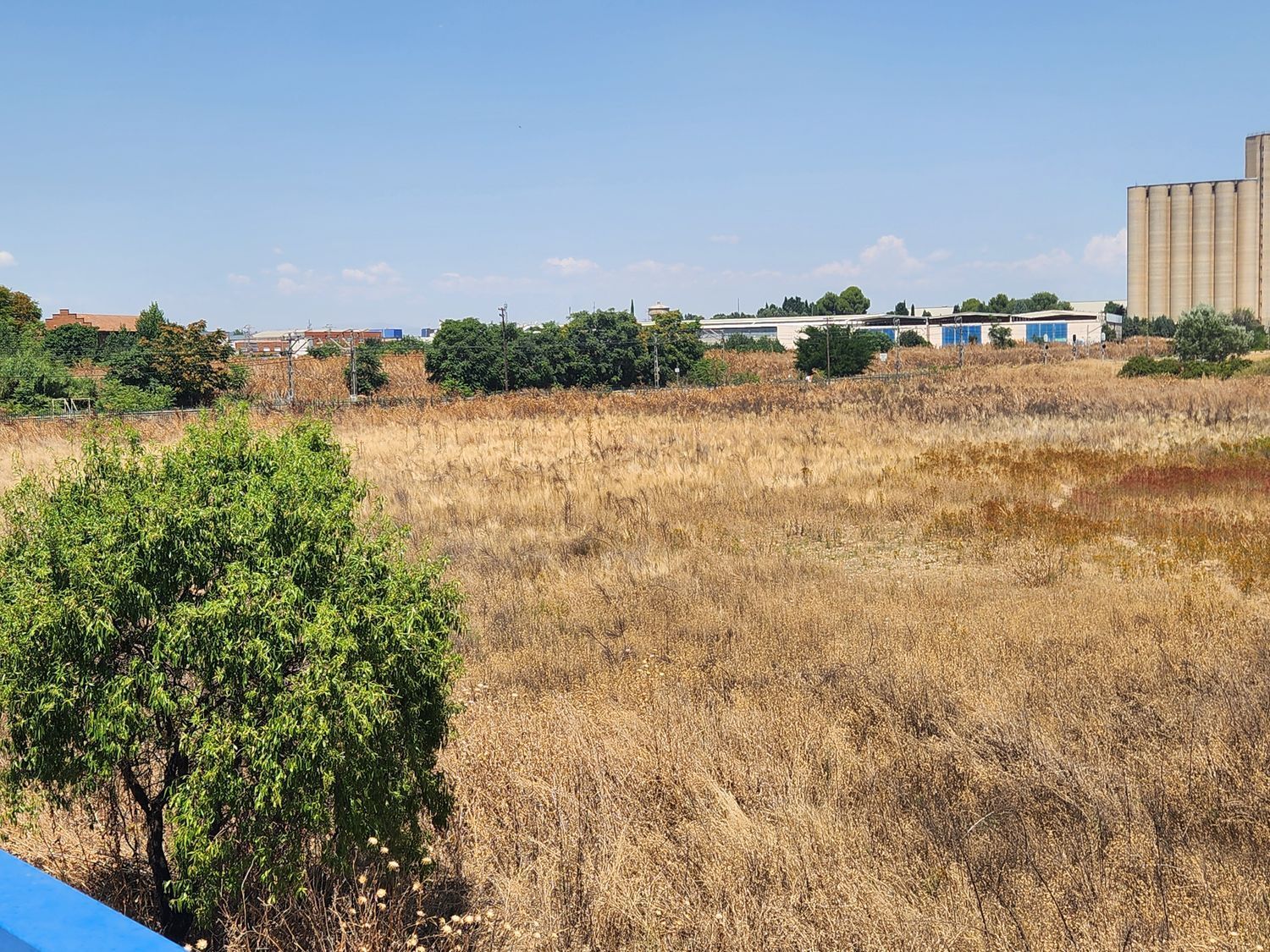Fincas y solares-Venta-Guadalajara-1833373-Foto-28