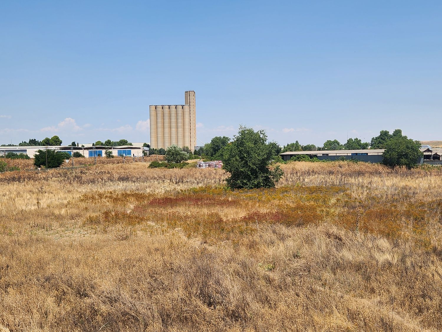 Fincas y solares-Venta-Guadalajara-1833373-Foto-29