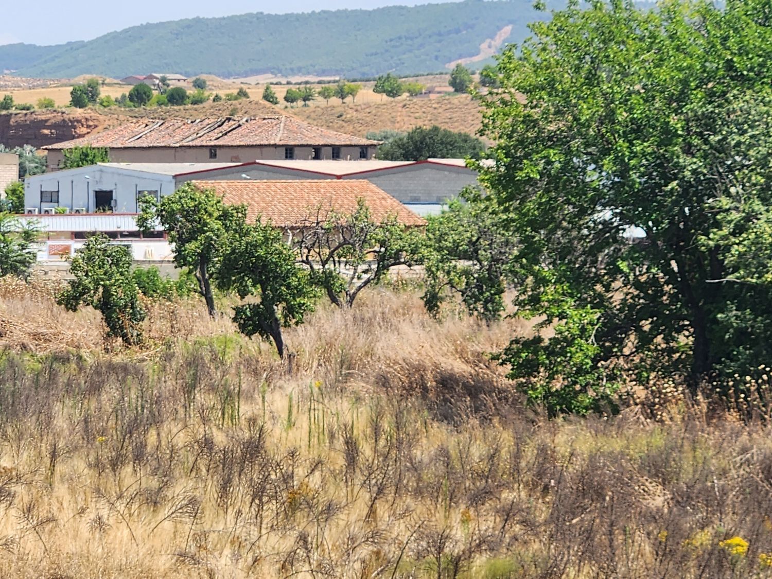 Fincas y solares-Venta-Guadalajara-1833373-Foto-31
