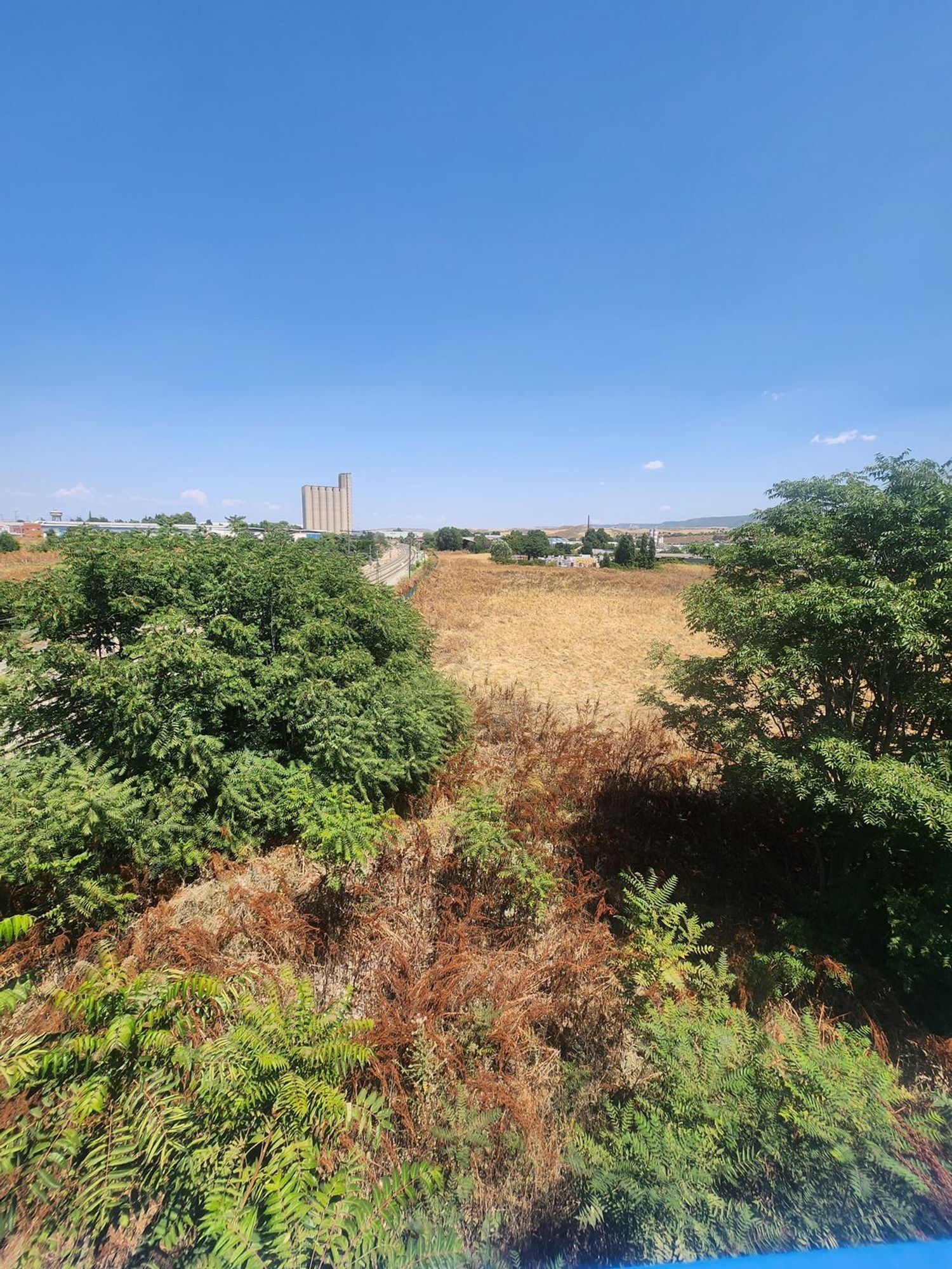 Fincas y solares-Venta-Guadalajara-1833373-Foto-33