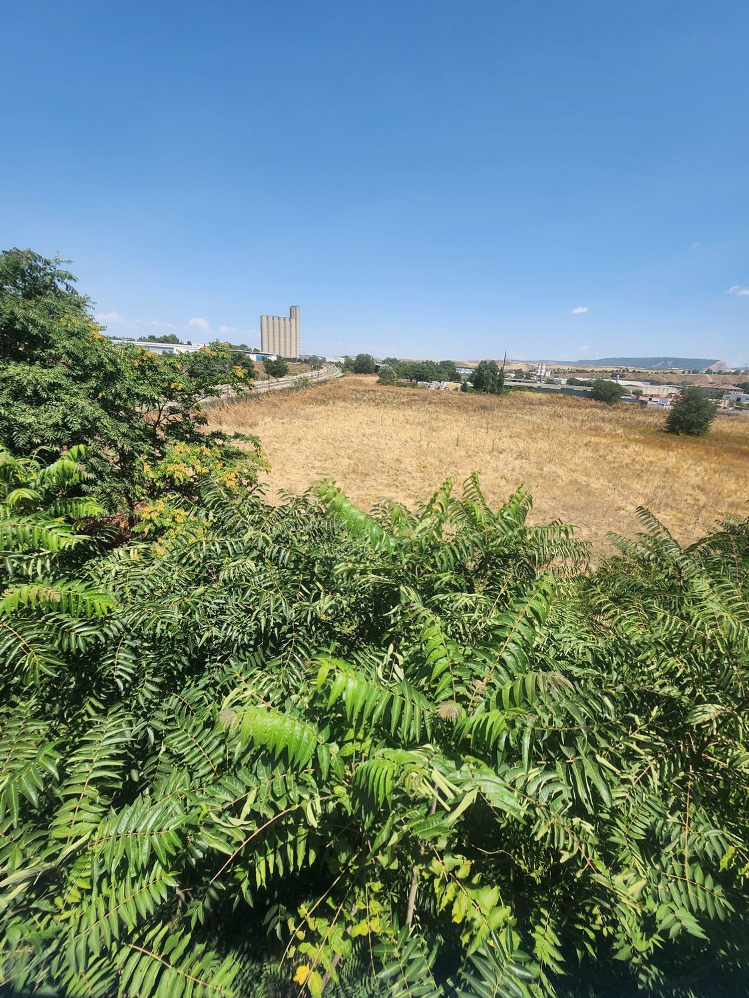 Fincas y solares-Venta-Guadalajara-1833373-Foto-36