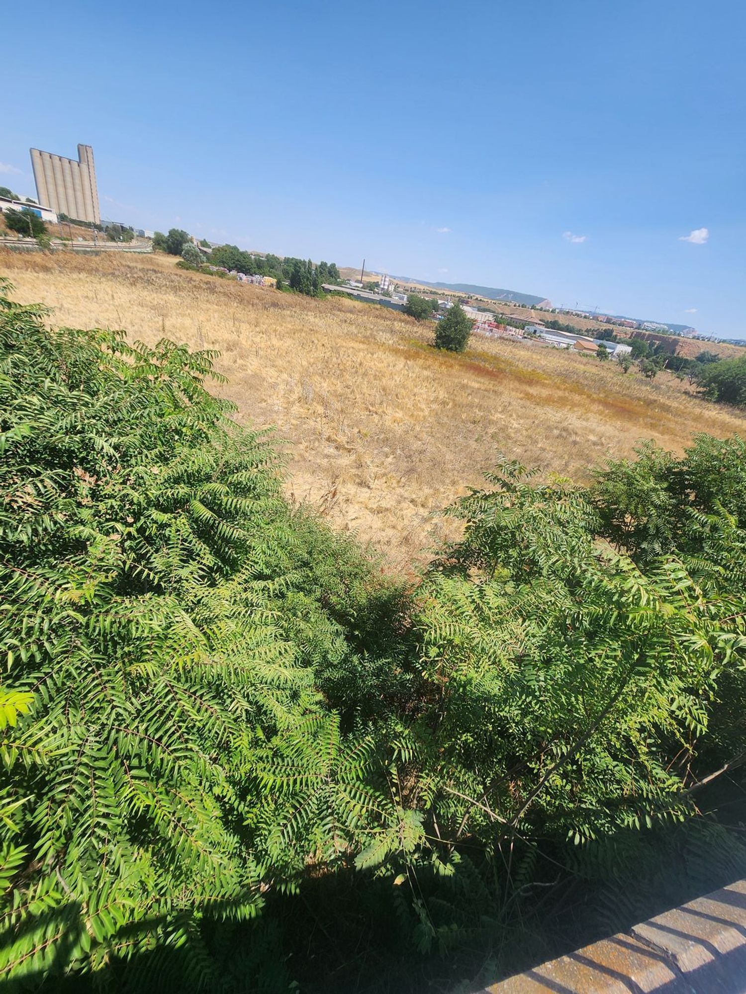 Fincas y solares-Venta-Guadalajara-1833373-Foto-38