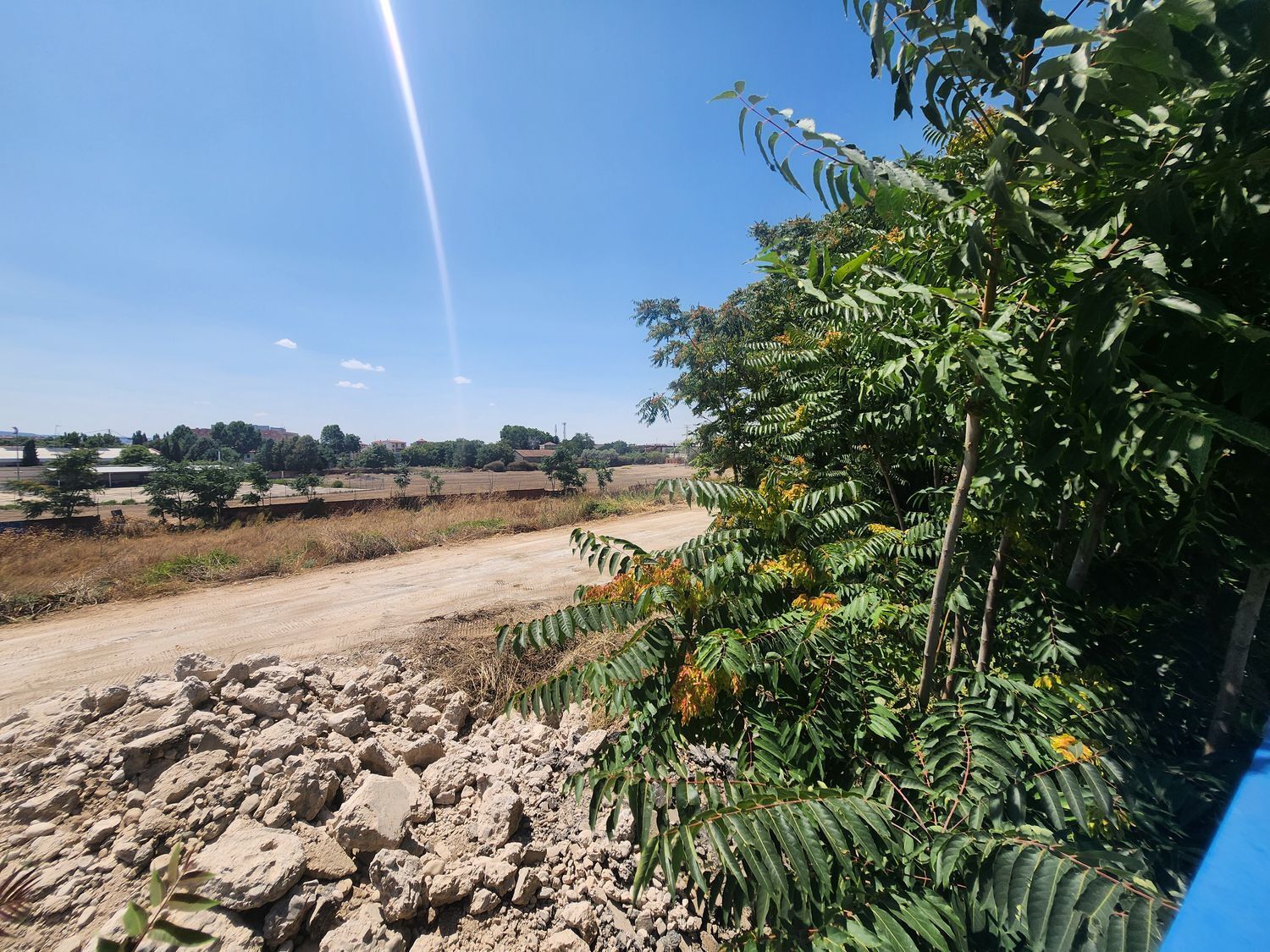 Fincas y solares-Venta-Guadalajara-1833373-Foto-50