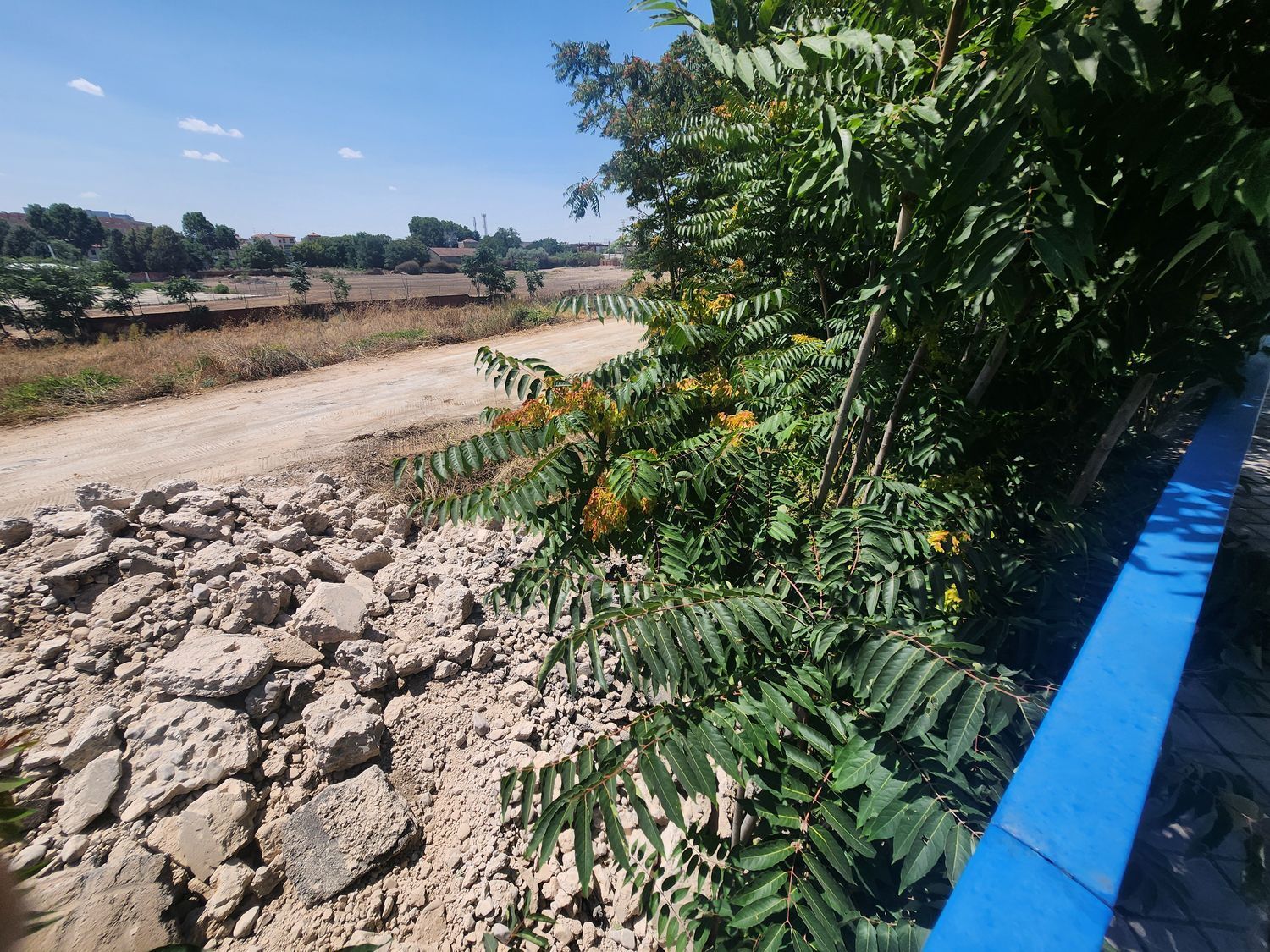 Fincas y solares-Venta-Guadalajara-1833373-Foto-53