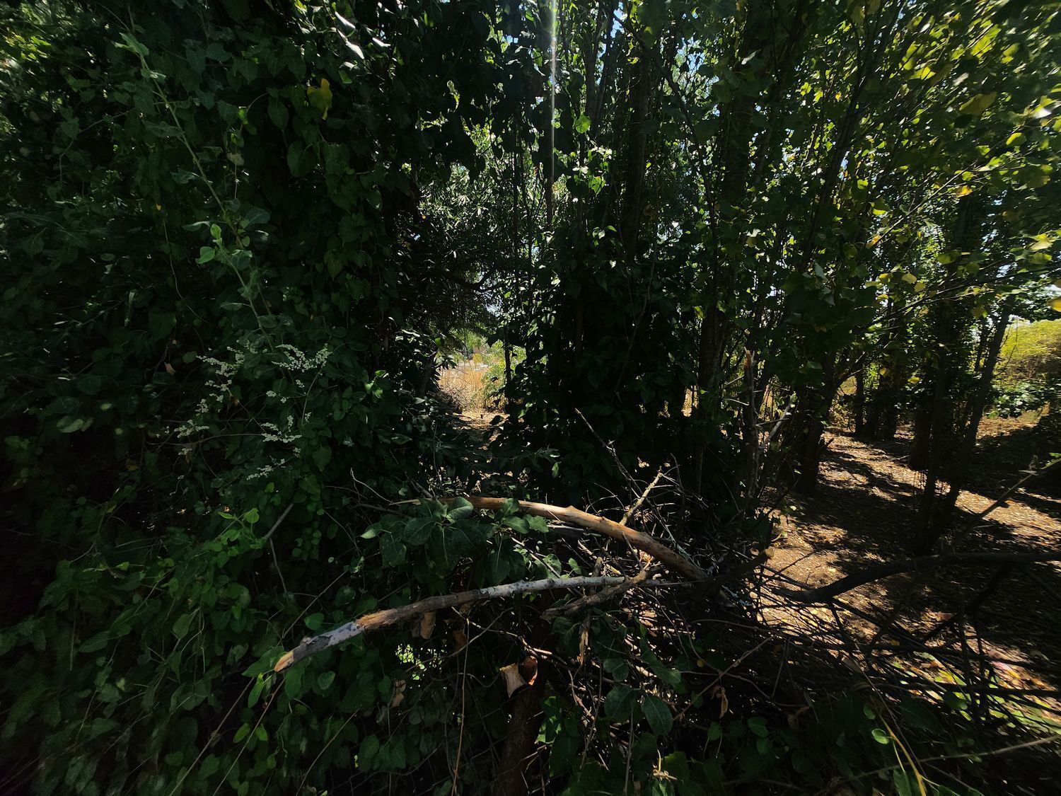 Fincas y solares-Venta-Guadalajara-1833373-Foto-58