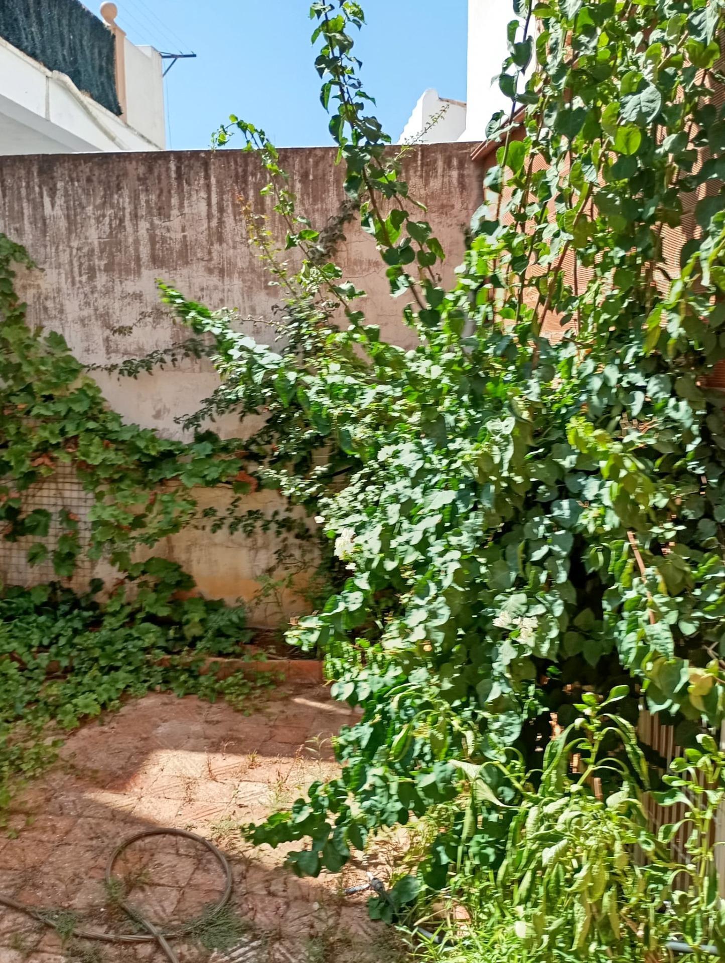 Pisos-Venta-Simat de la Valldigna-1876894-Foto-30