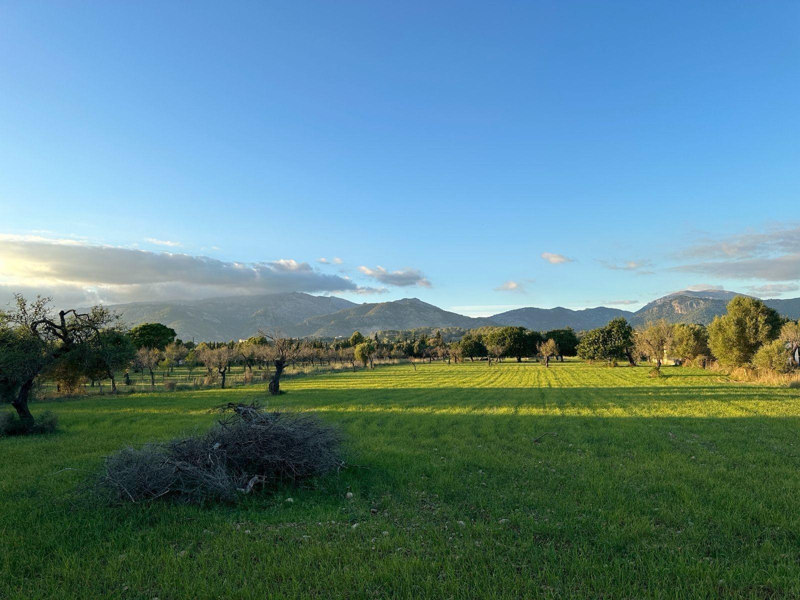 Fincas y solares-Venta-Selva-1840938-Foto-12