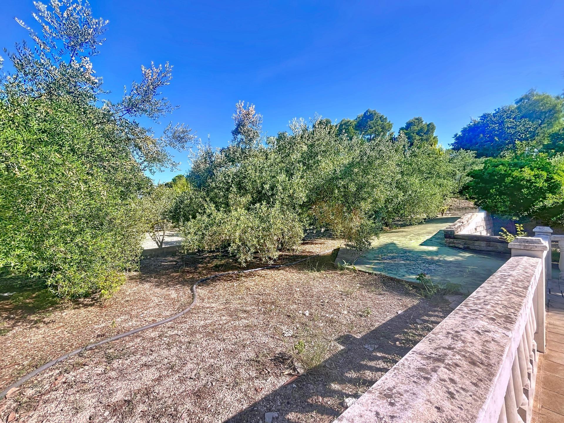Casas o chalets-Venta-XÃ tiva-1876915-Foto-43