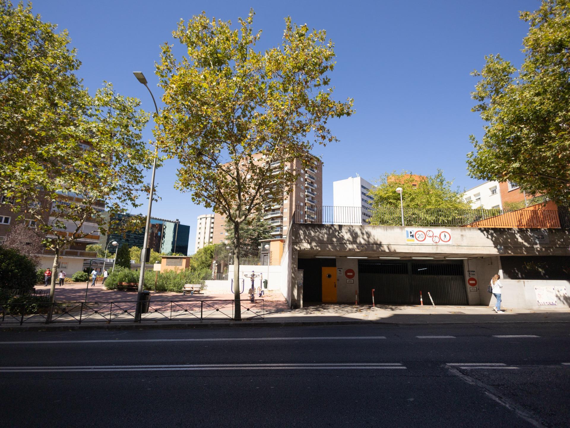 Negocios-Venta-Madrid-1876921-Foto-2