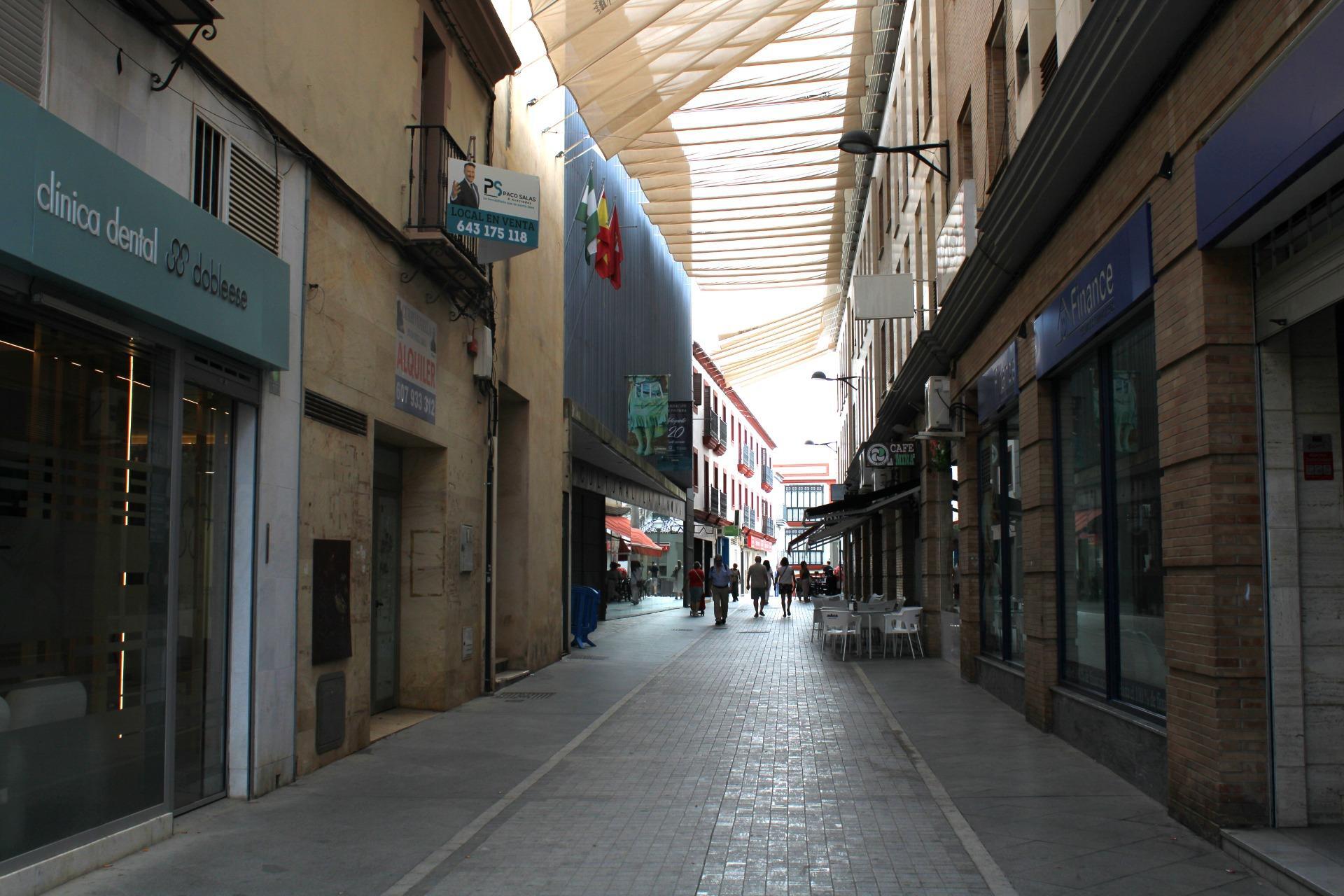Oficinas-Venta-Dos Hermanas-1866508-Foto-30