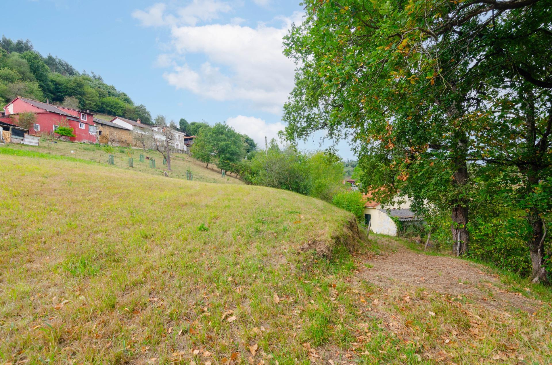 Fincas y solares-Venta-Oviedo-1877226-Foto-3
