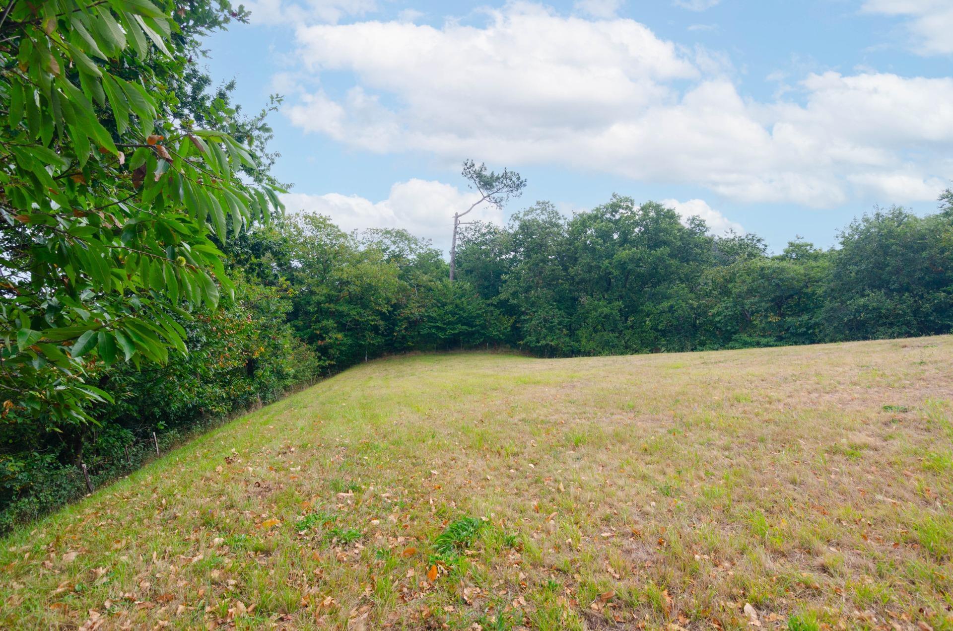 Fincas y solares-Venta-Oviedo-1877226-Foto-5