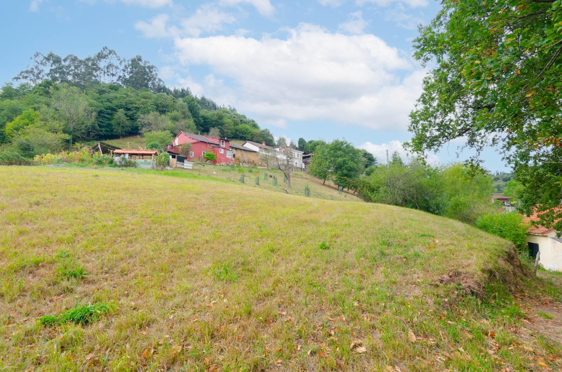Fincas y solares-Venta-Oviedo-1877226-Foto-2
