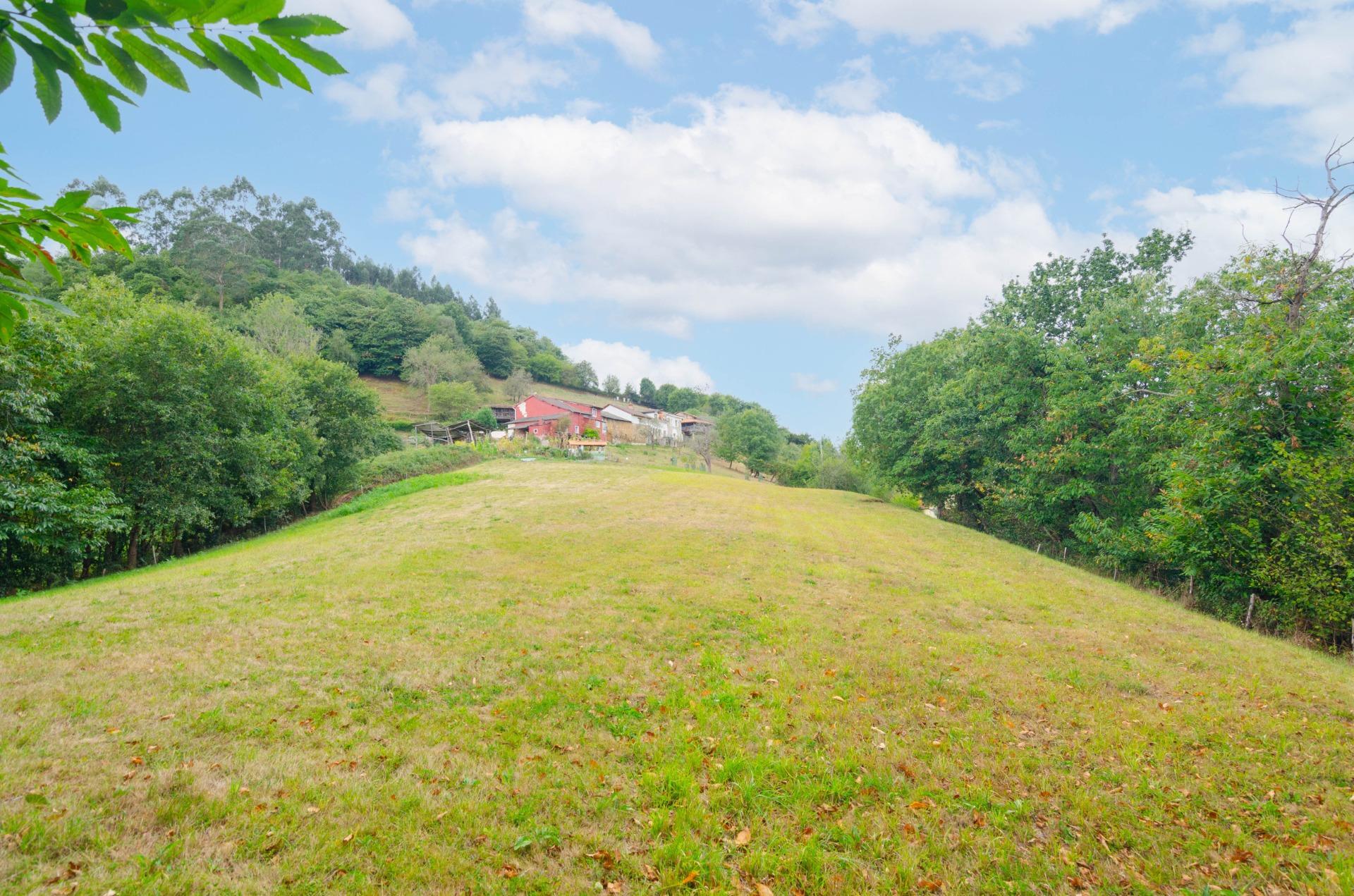 Fincas y solares-Venta-1877226