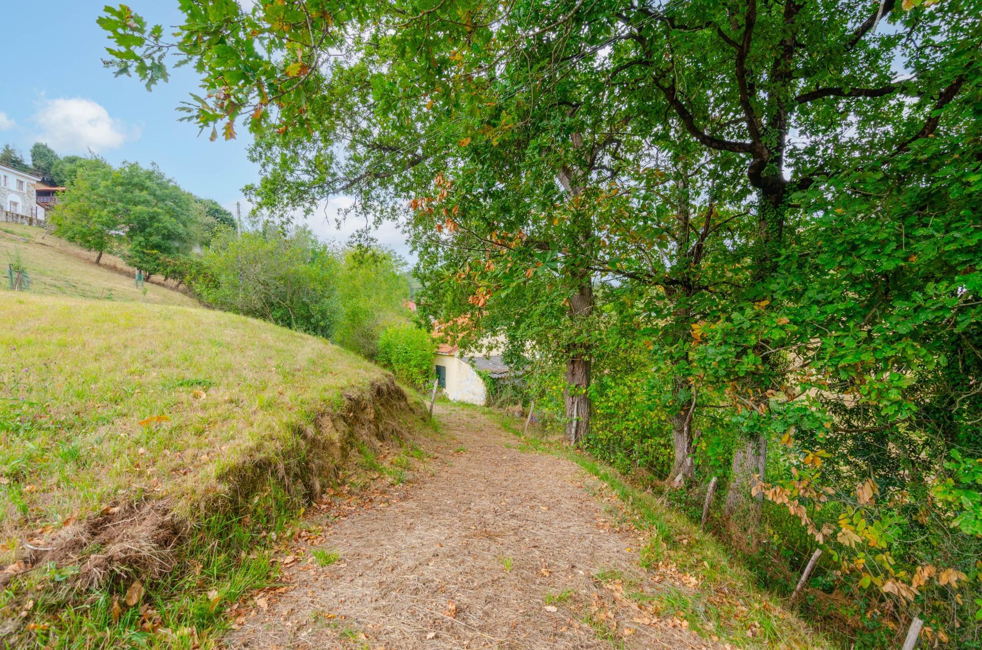 Fincas y solares-Venta-Oviedo-1877226-Foto-4