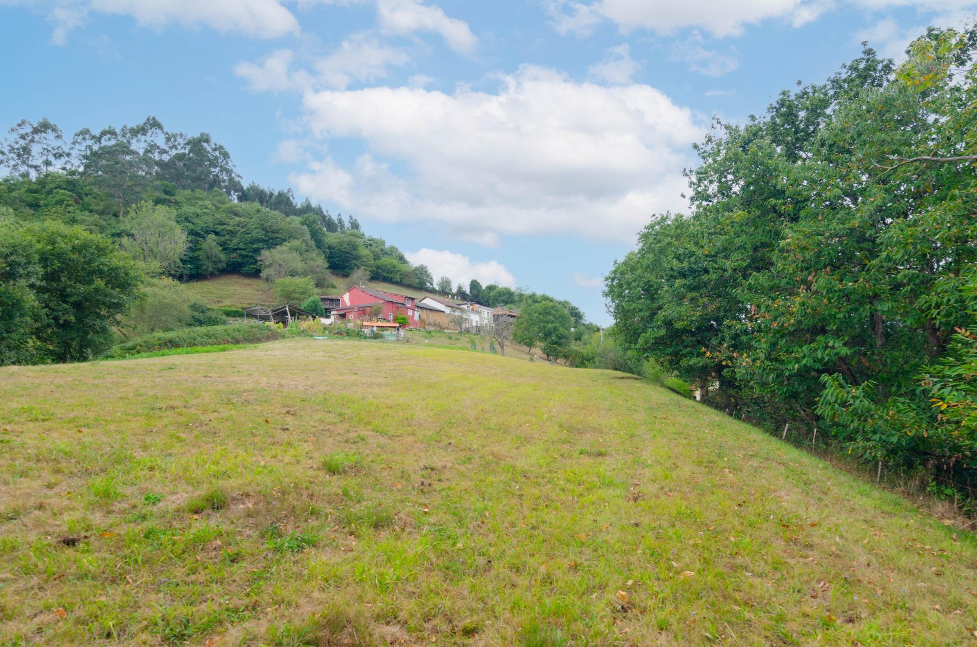 Fincas y solares-Venta-Oviedo-1877226-Foto-9
