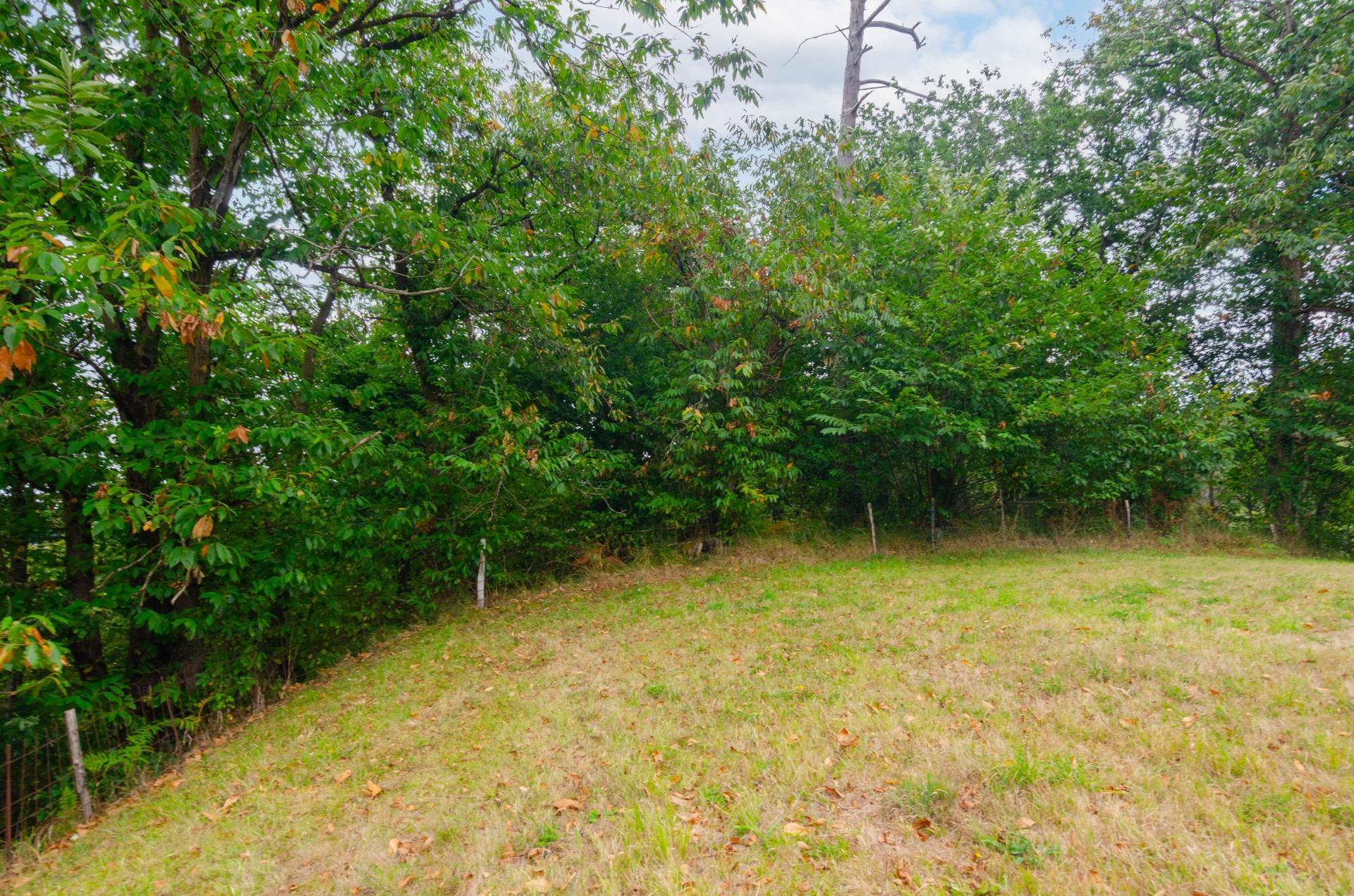 Fincas y solares-Venta-Oviedo-1877226-Foto-8
