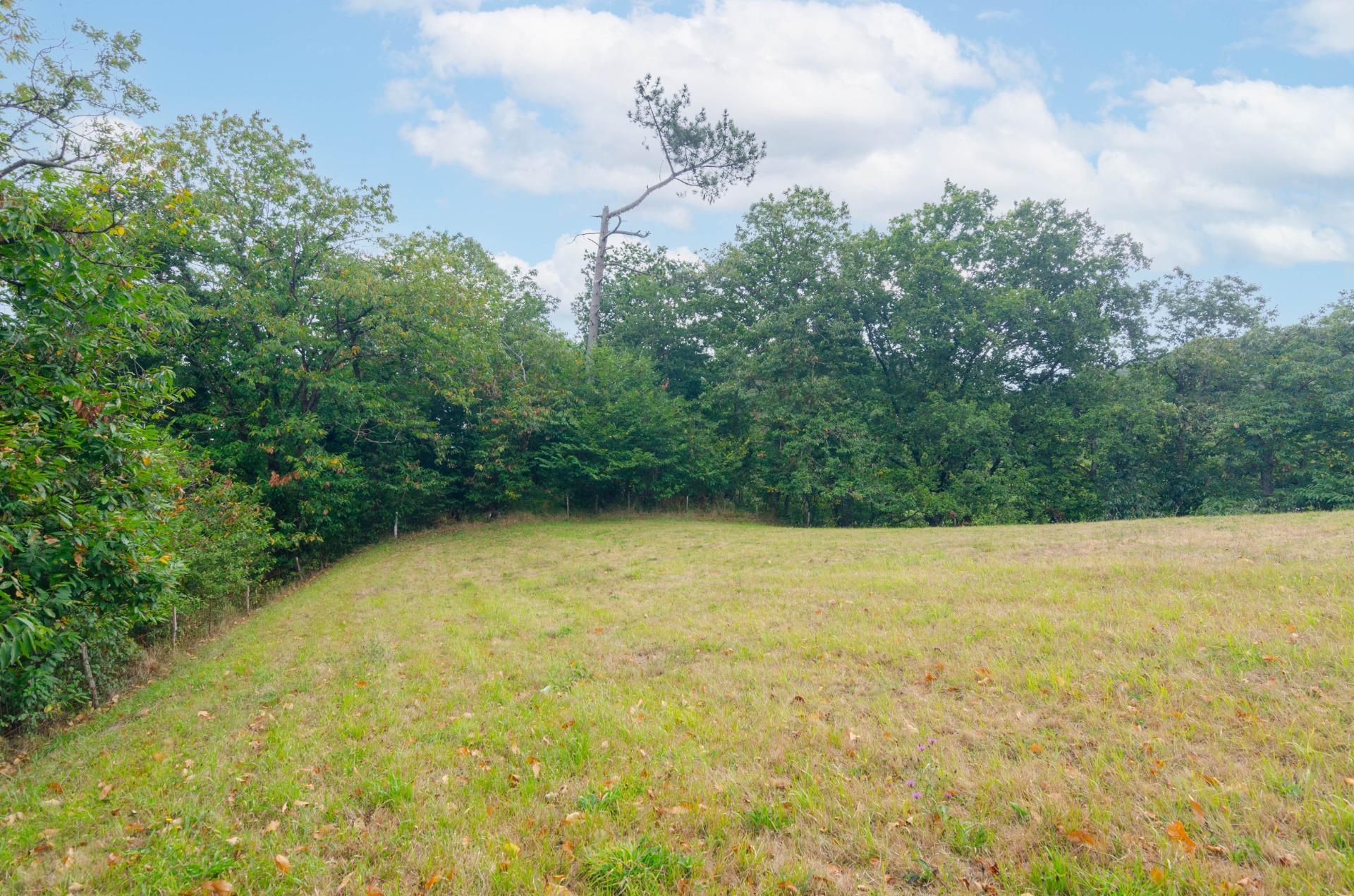 Fincas y solares-Venta-Oviedo-1877226-Foto-7