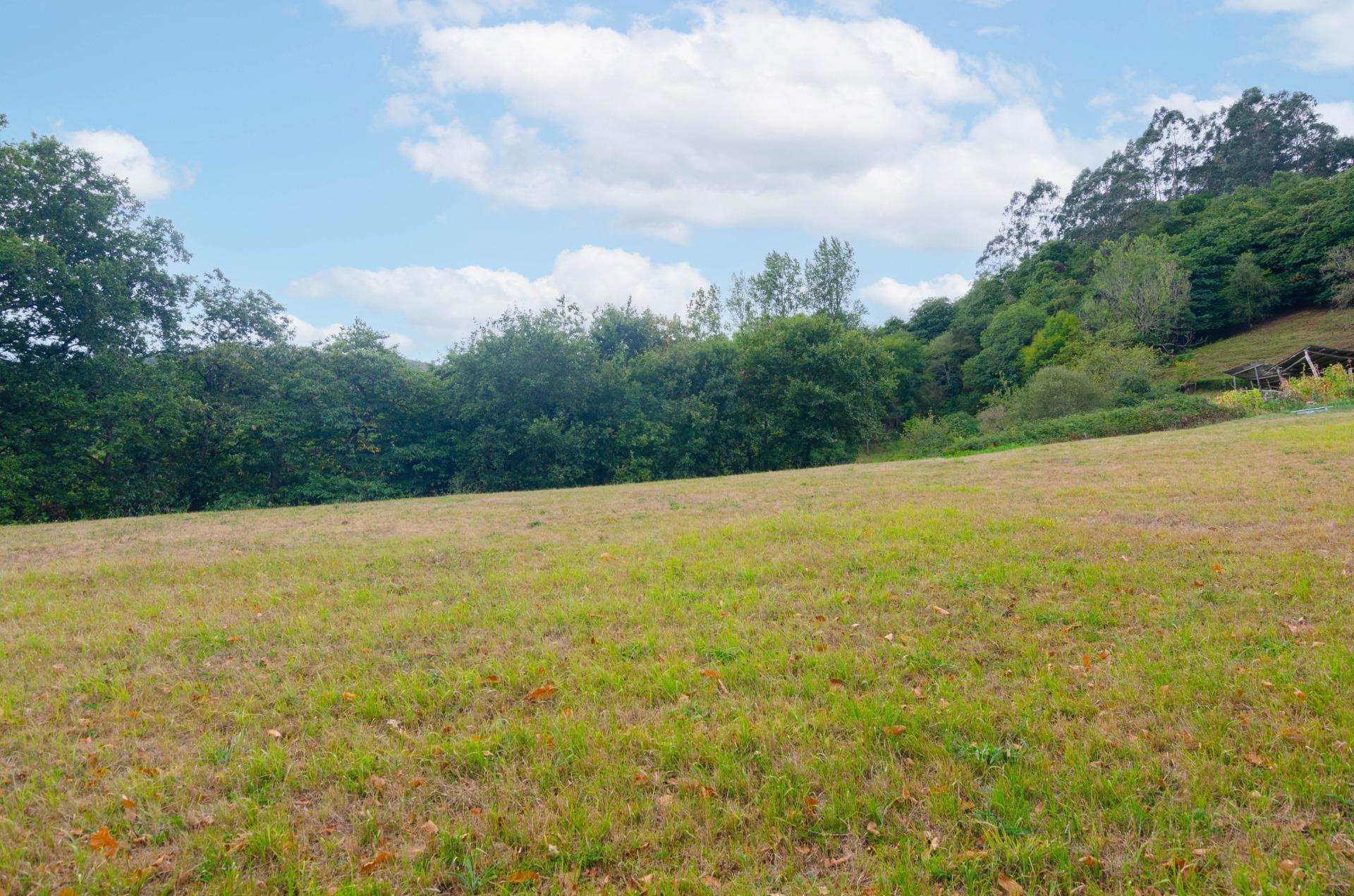 Fincas y solares-Venta-Oviedo-1877226-Foto-6