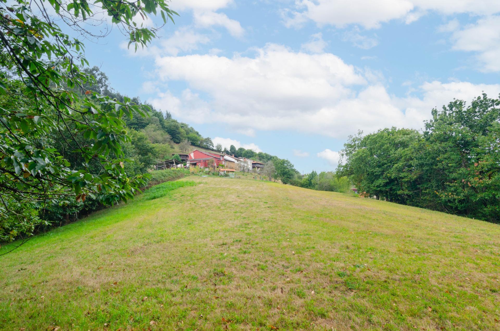 Fincas y solares-Venta-Oviedo-1877226-Foto-12