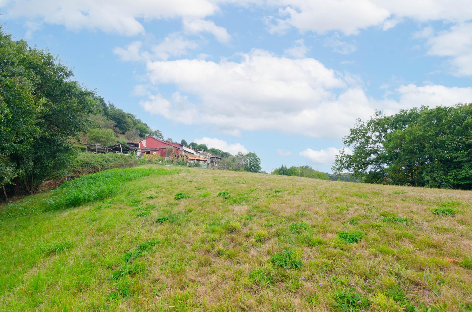 Fincas y solares-Venta-Oviedo-1877226-Foto-15