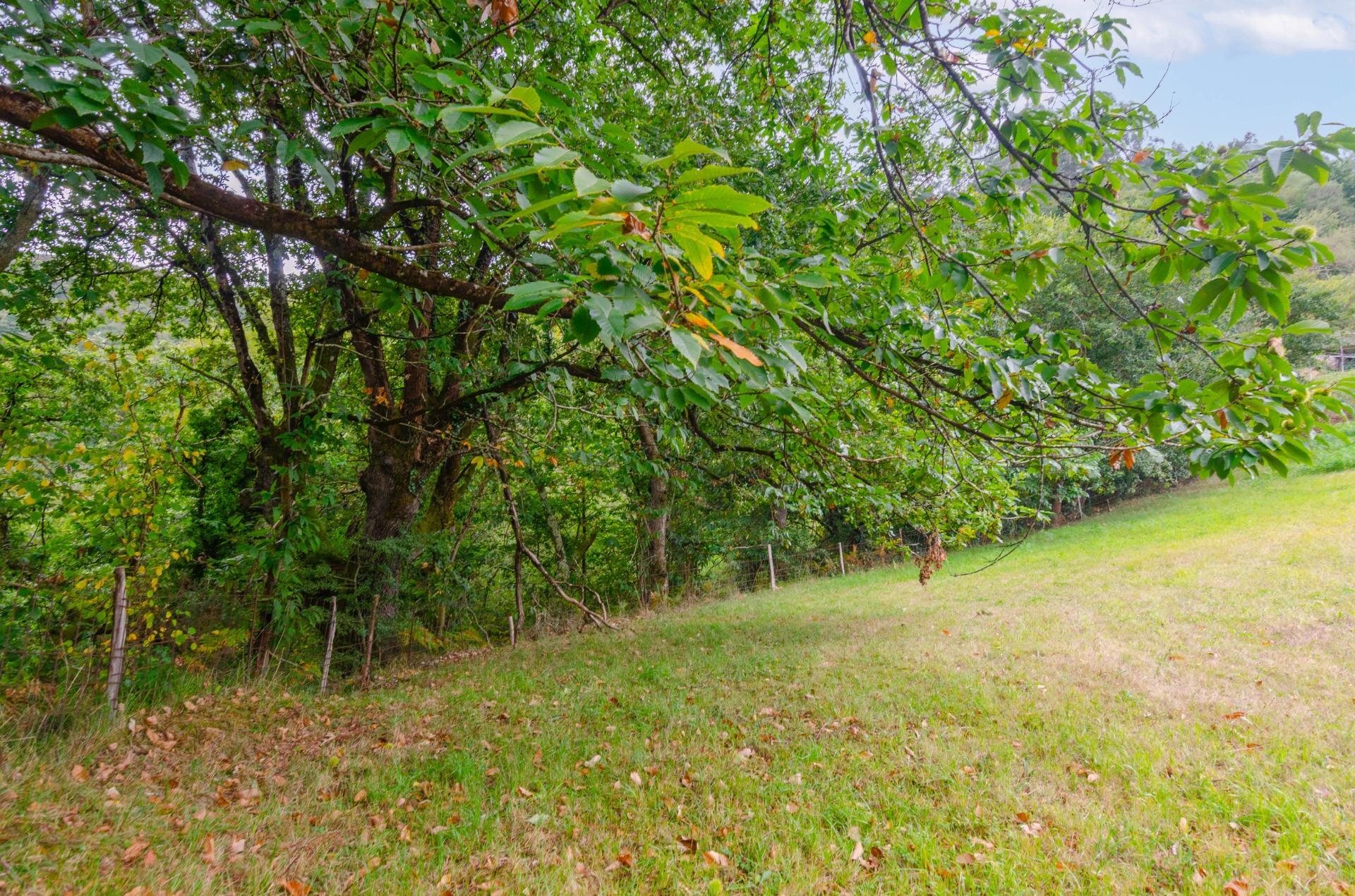 Fincas y solares-Venta-Oviedo-1877226-Foto-11