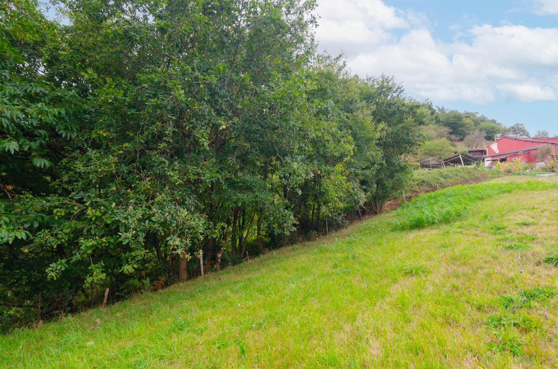Fincas y solares-Venta-Oviedo-1877226-Foto-16