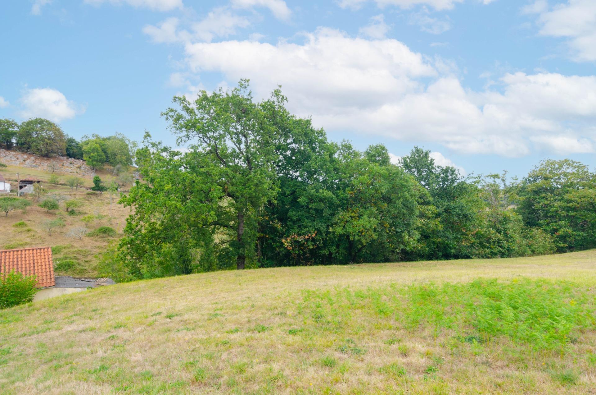 Fincas y solares-Venta-Oviedo-1877226-Foto-20