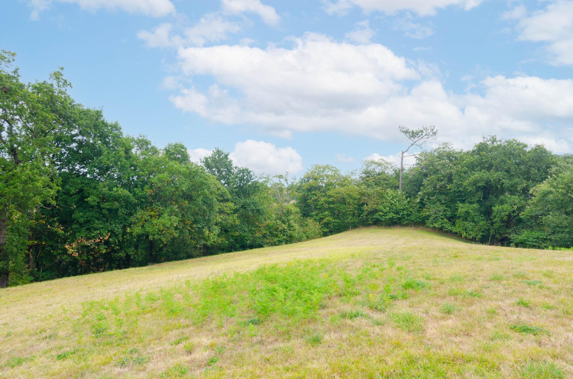Fincas y solares-Venta-Oviedo-1877226-Foto-21
