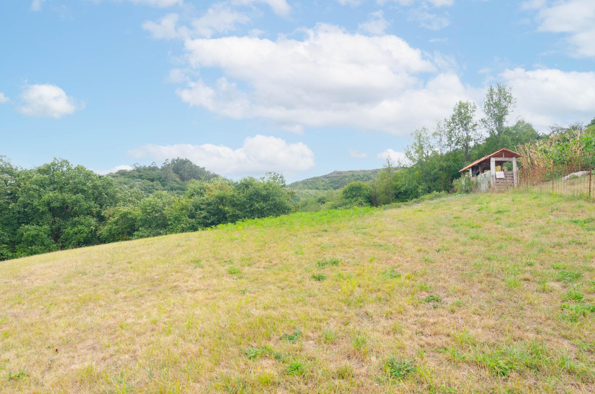 Fincas y solares-Venta-Oviedo-1877226-Foto-25