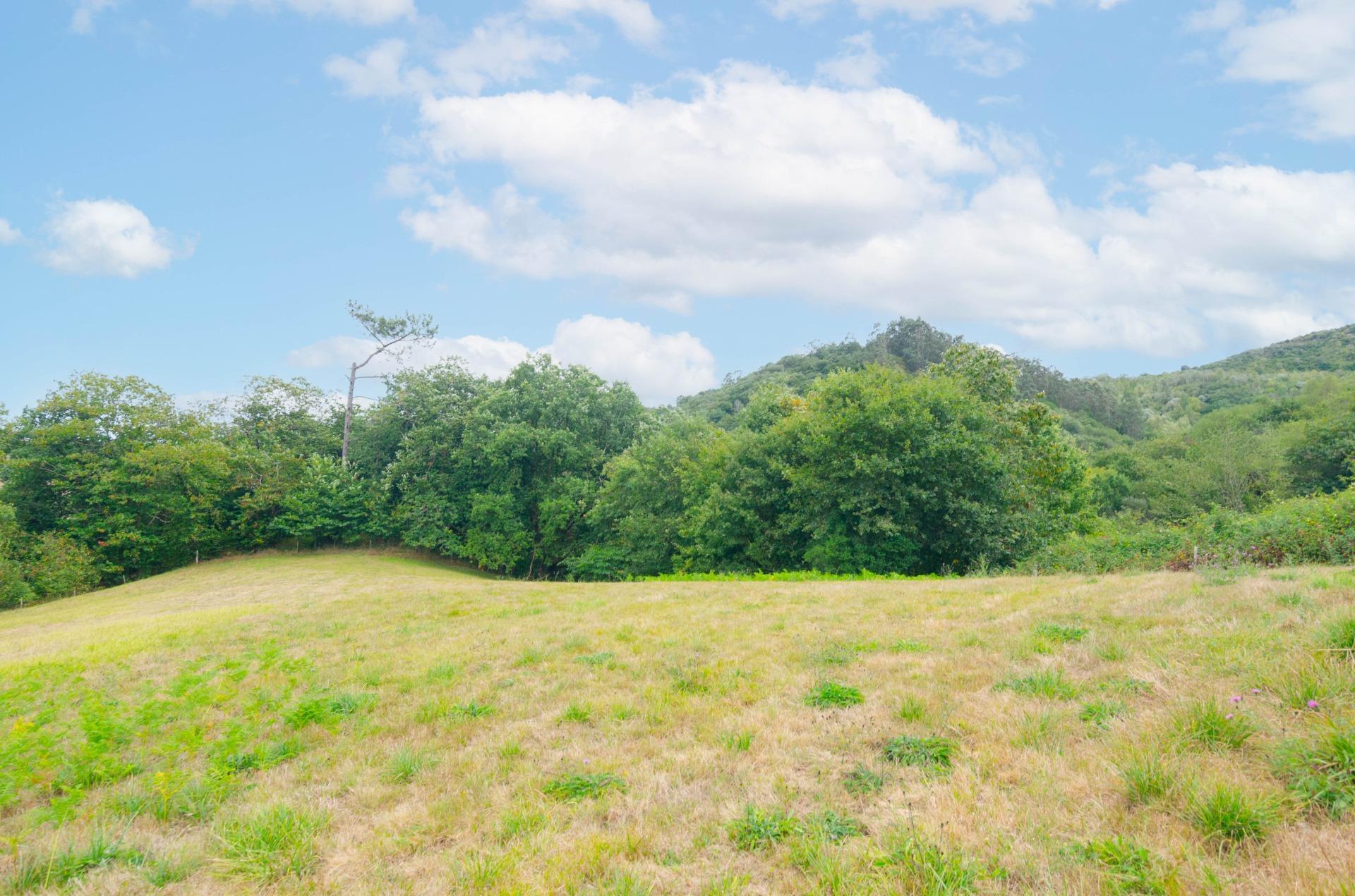 Fincas y solares-Venta-Oviedo-1877226-Foto-23