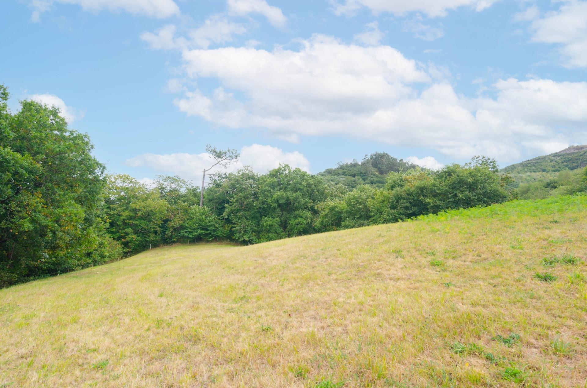 Fincas y solares-Venta-Oviedo-1877226-Foto-26