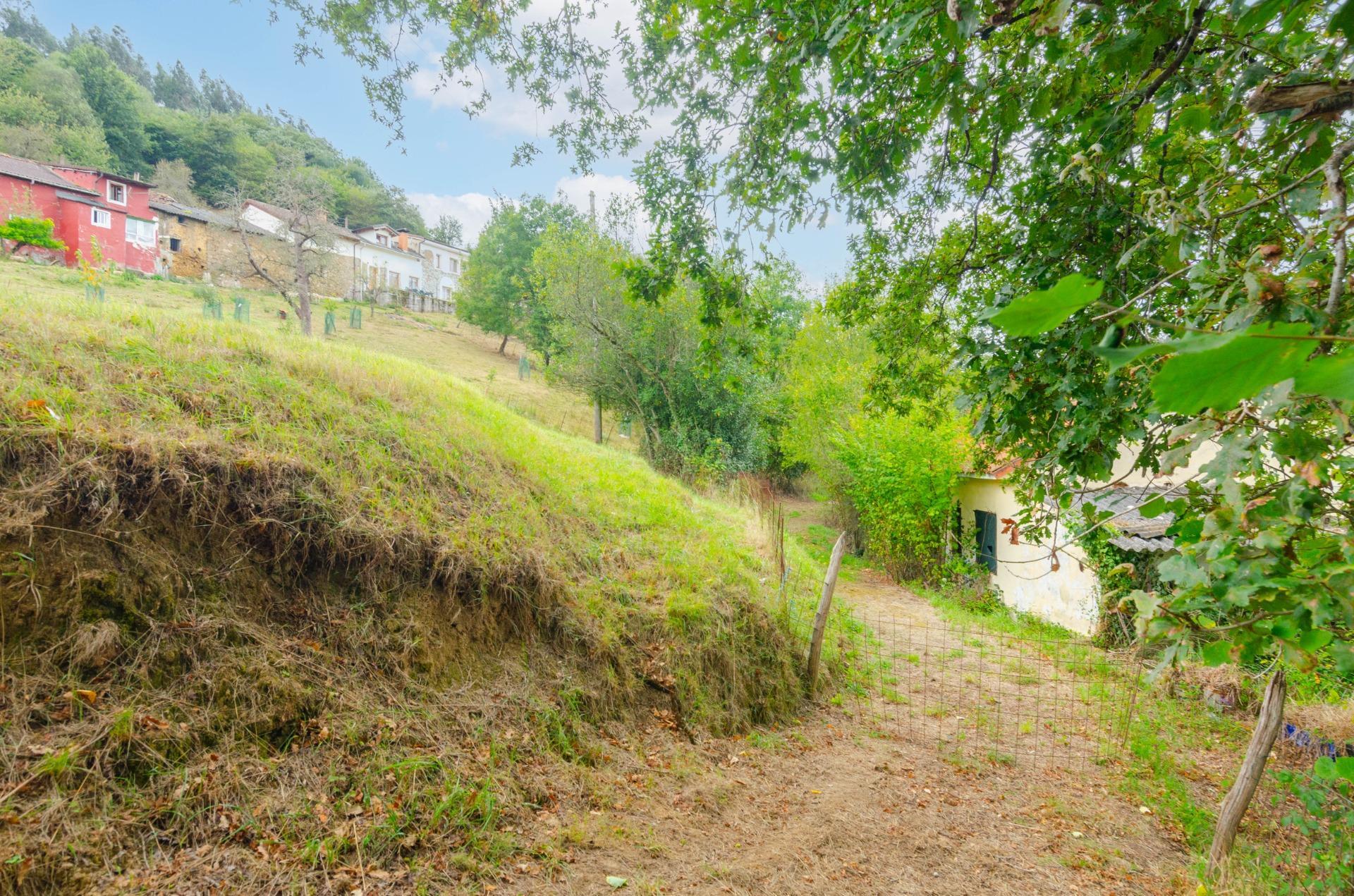 Fincas y solares-Venta-Oviedo-1877226-Foto-28