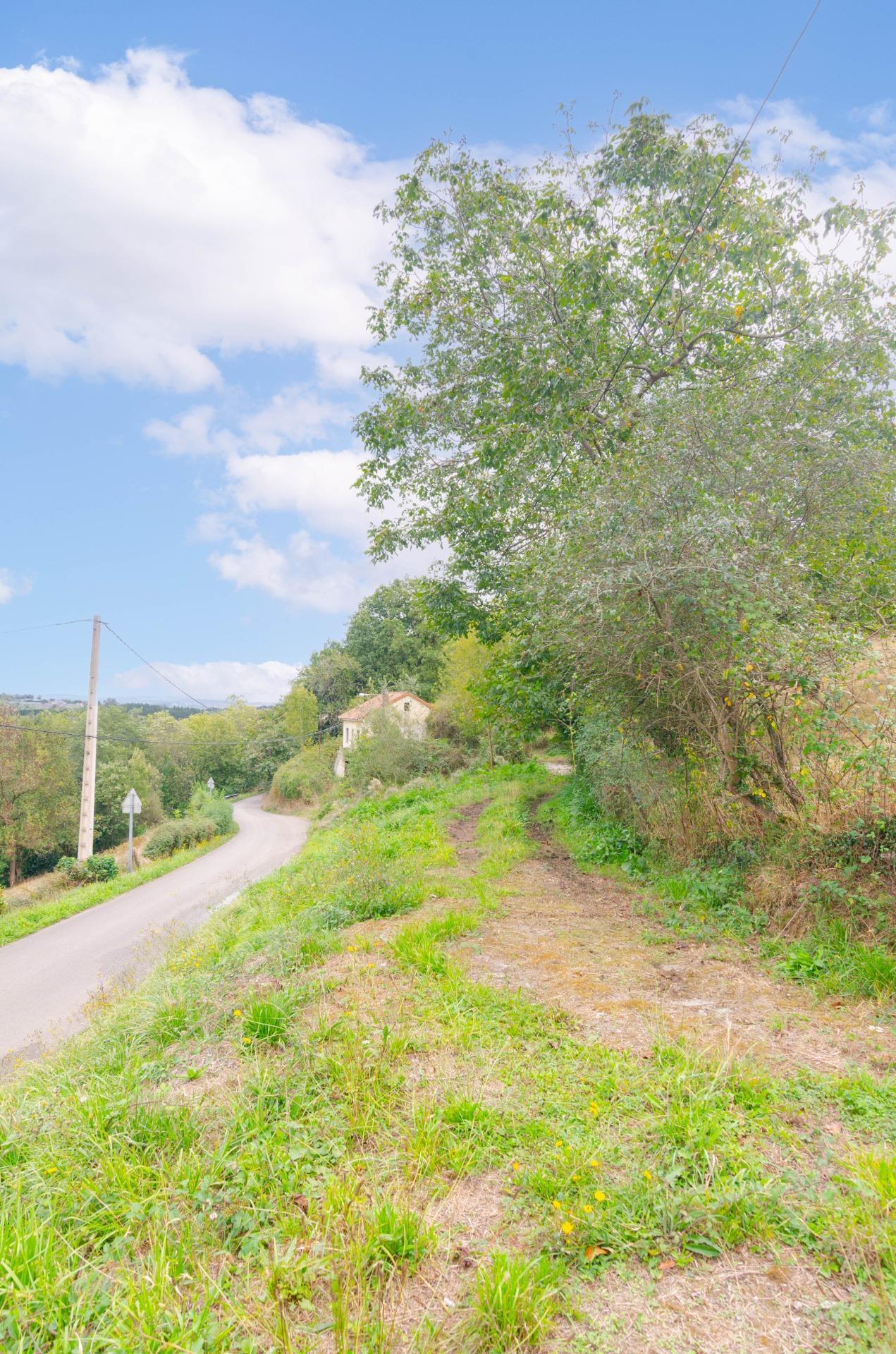 Fincas y solares-Venta-Oviedo-1877226-Foto-30