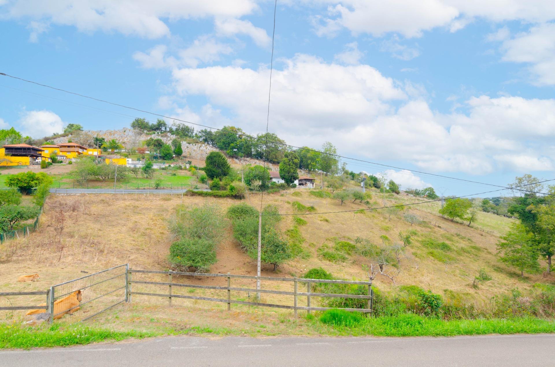 Fincas y solares-Venta-Oviedo-1877226-Foto-32