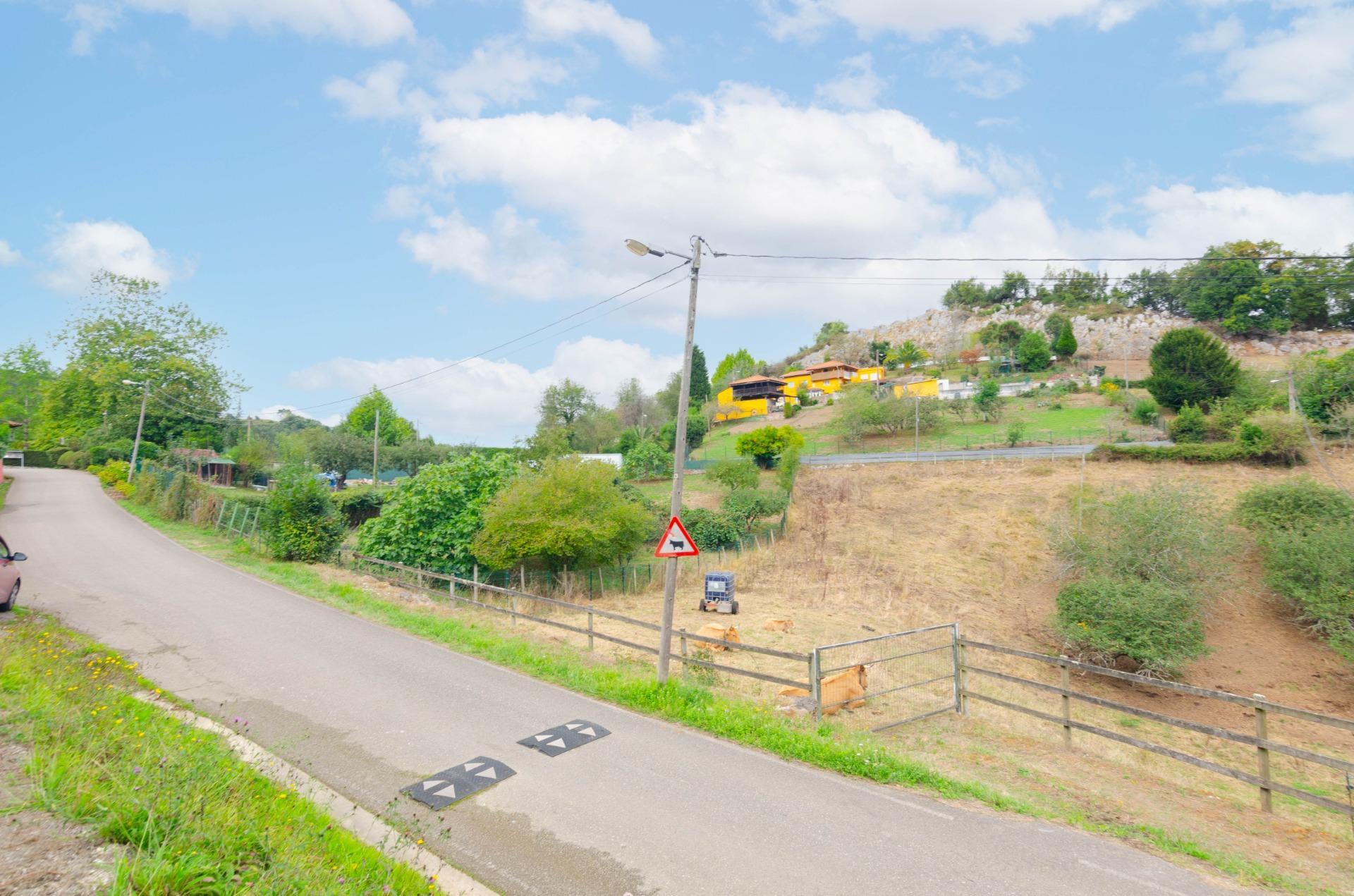 Fincas y solares-Venta-Oviedo-1877226-Foto-33