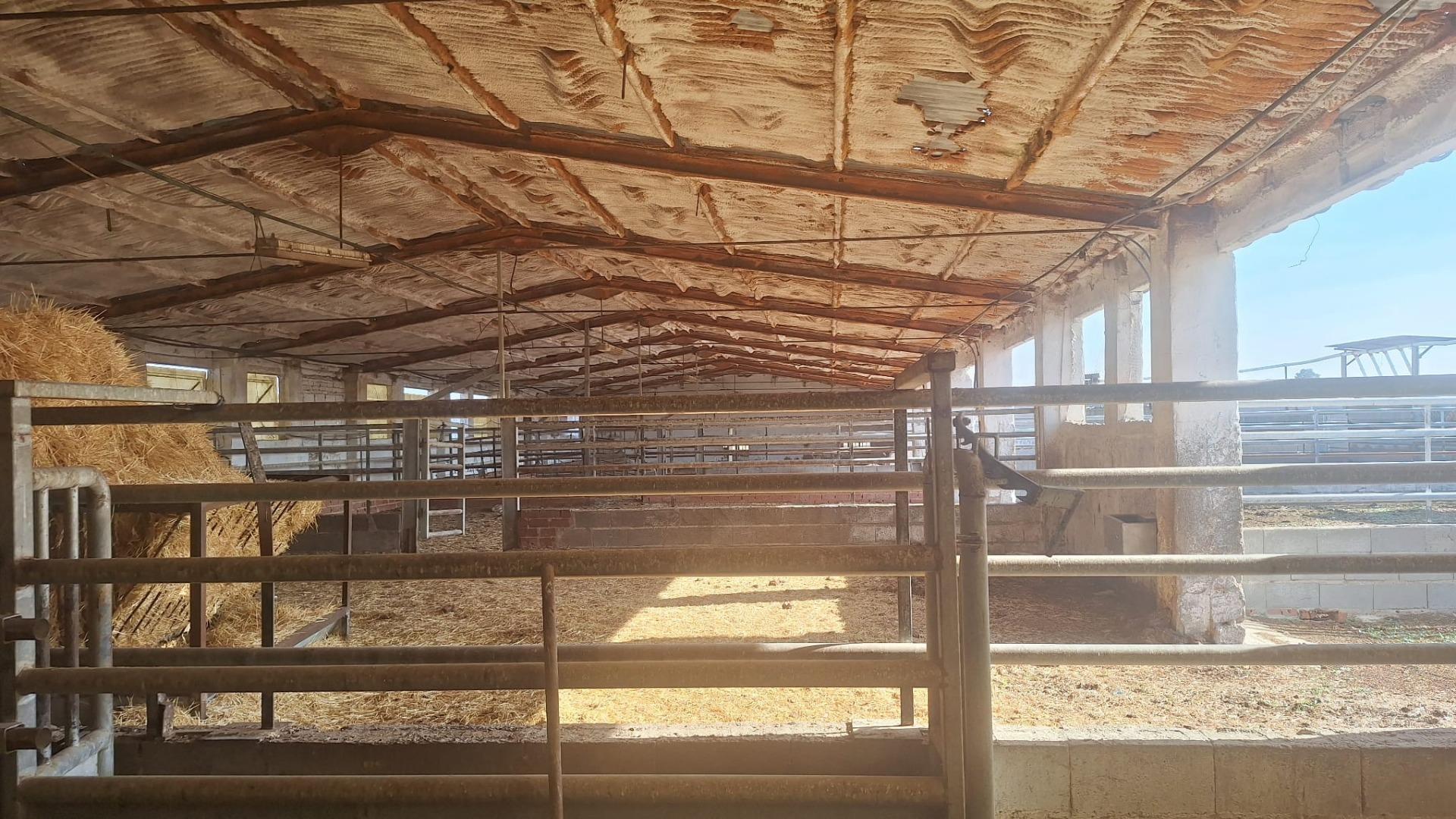 Naves-Venta-Quintanar de la Orden-1480156-Foto-2