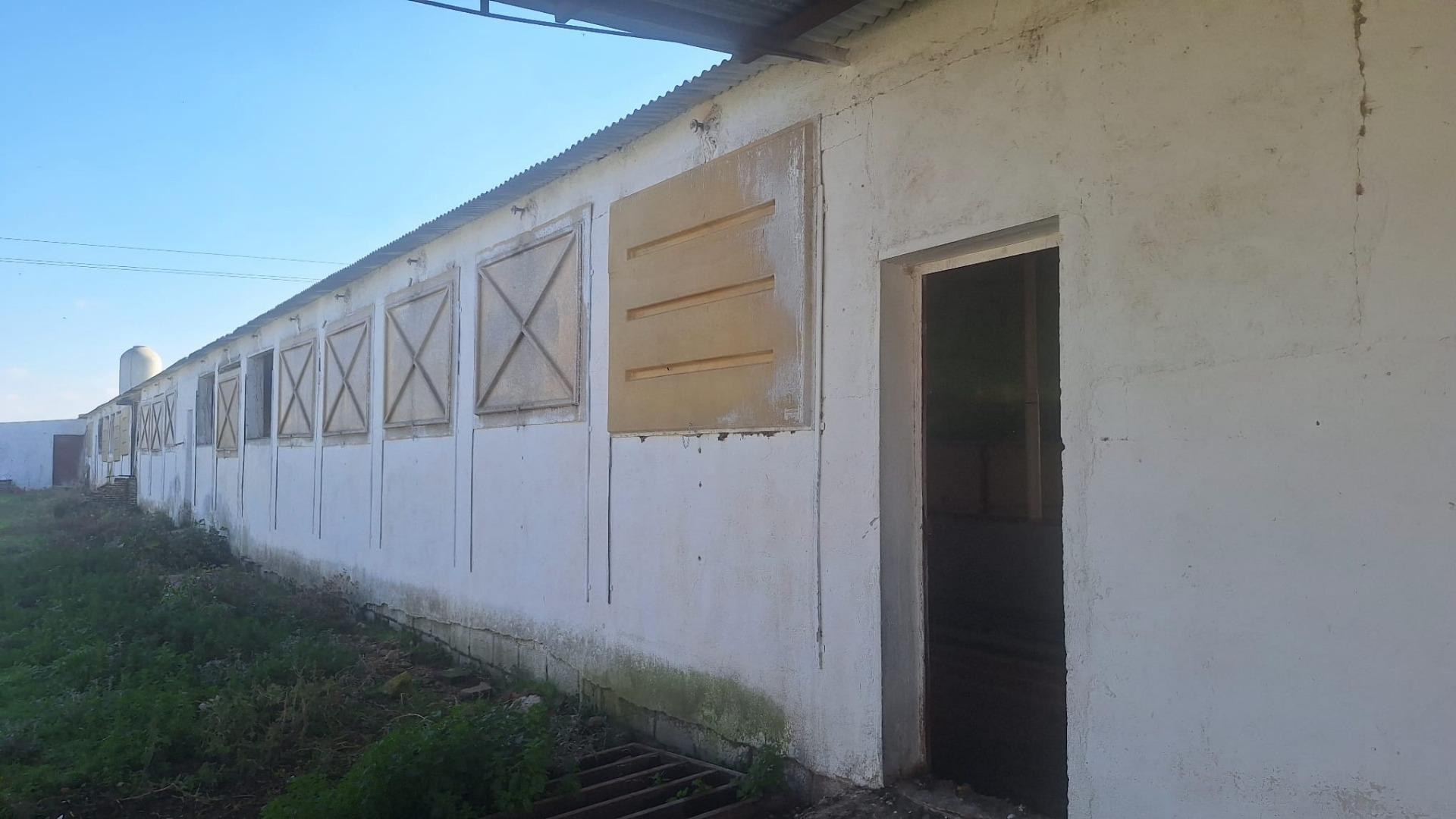 Naves-Venta-Quintanar de la Orden-1480156-Foto-4