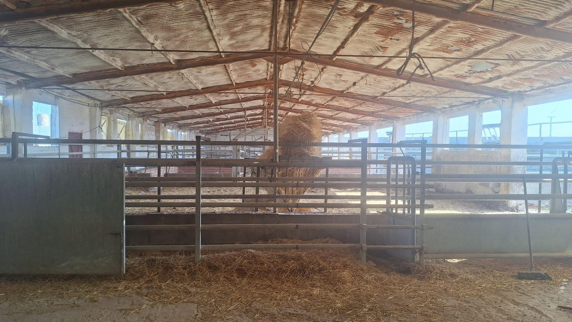 Naves-Venta-Quintanar de la Orden-1480156-Foto-9