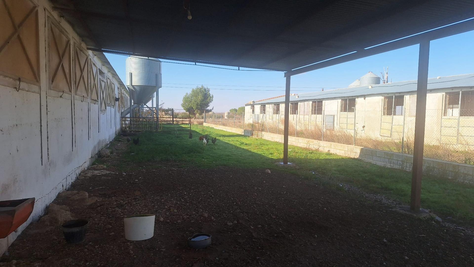 Naves-Venta-Quintanar de la Orden-1480156-Foto-23