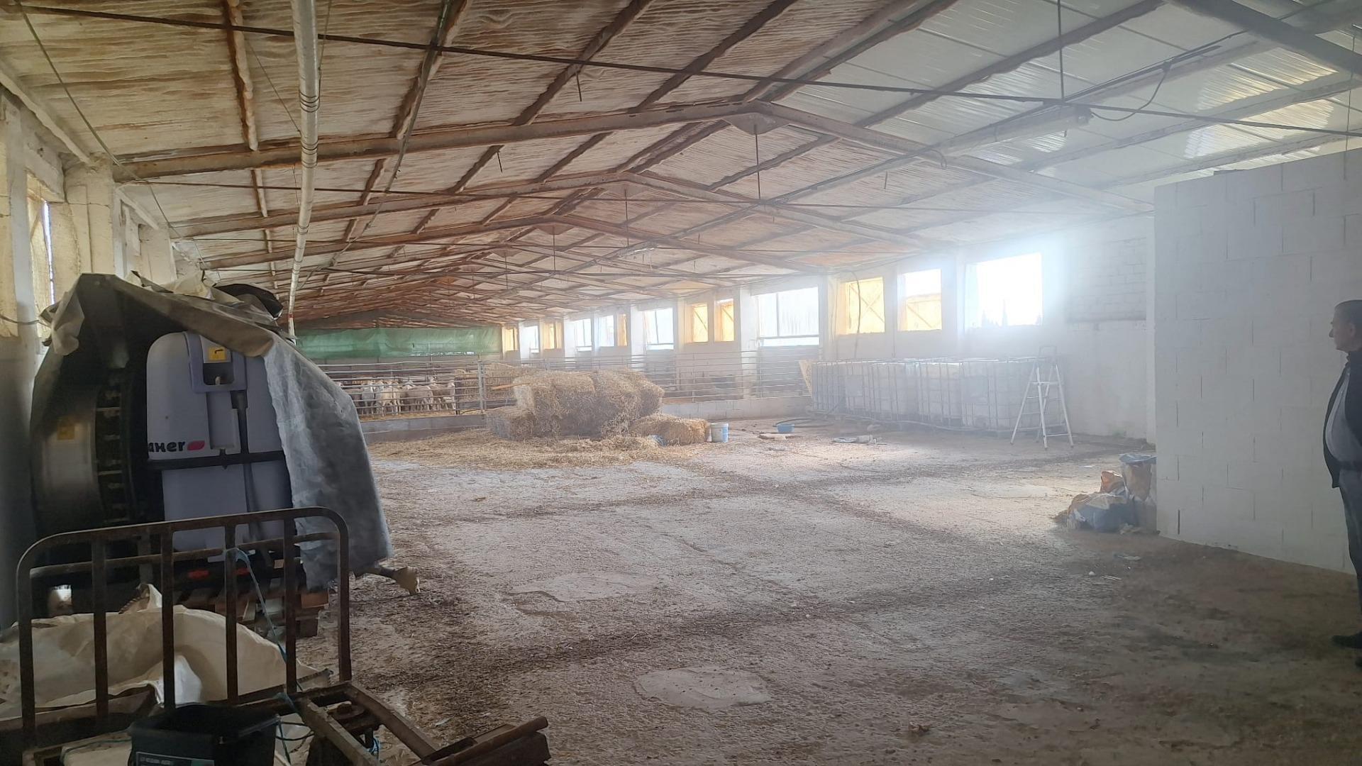 Naves-Venta-Quintanar de la Orden-1480156-Foto-25