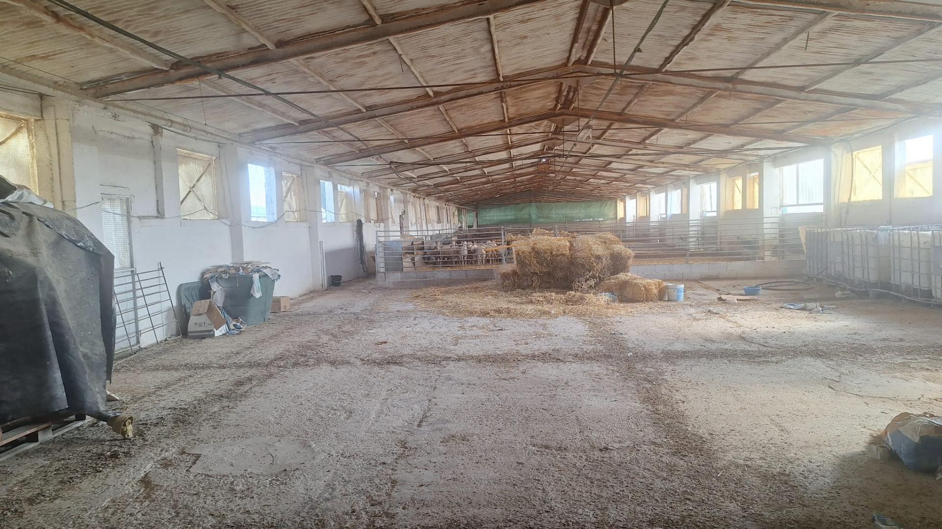 Naves-Venta-Quintanar de la Orden-1480156-Foto-24