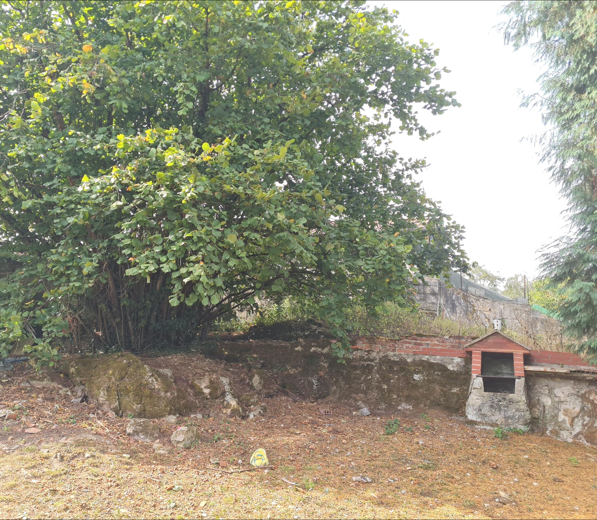 Casas o chalets-Venta-El Grado-1866095-Foto-33