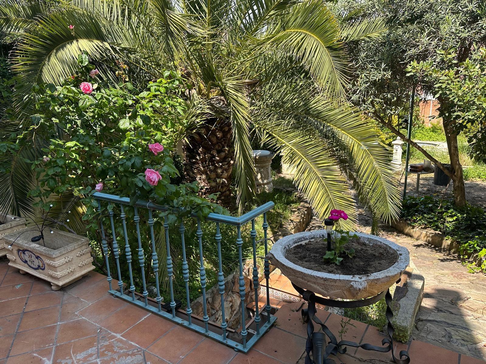 Casas o chalets-Venta-Ciempozuelos-1884277-Foto-68
