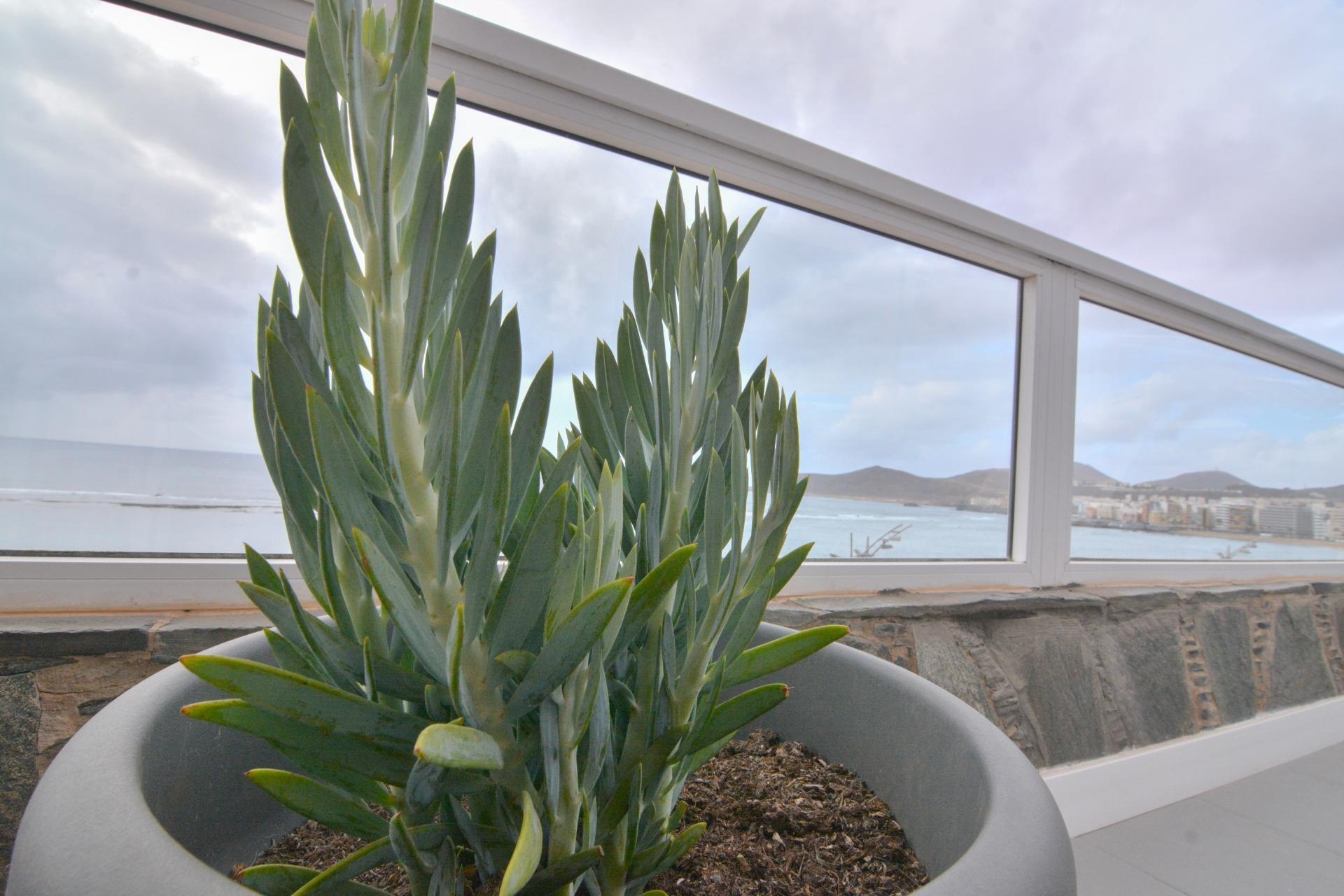 Pisos-Venta-Las Palmas de Gran Canaria-1884859-Foto-43