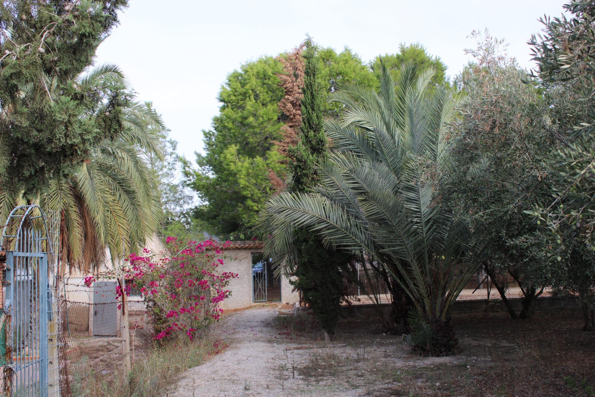 Suelo en venta, Molina de Segura, Murcia